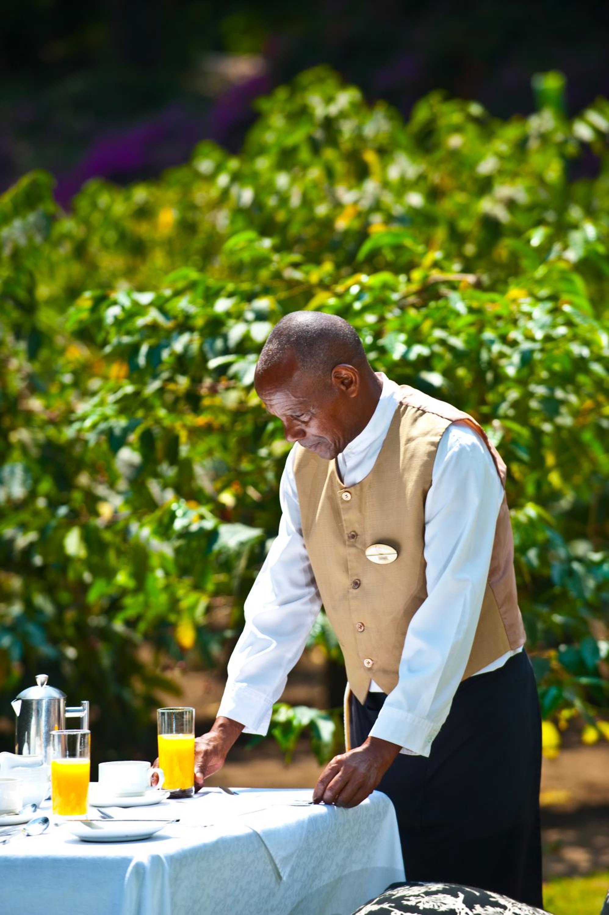 Elewana Arusha Coffee Lodge