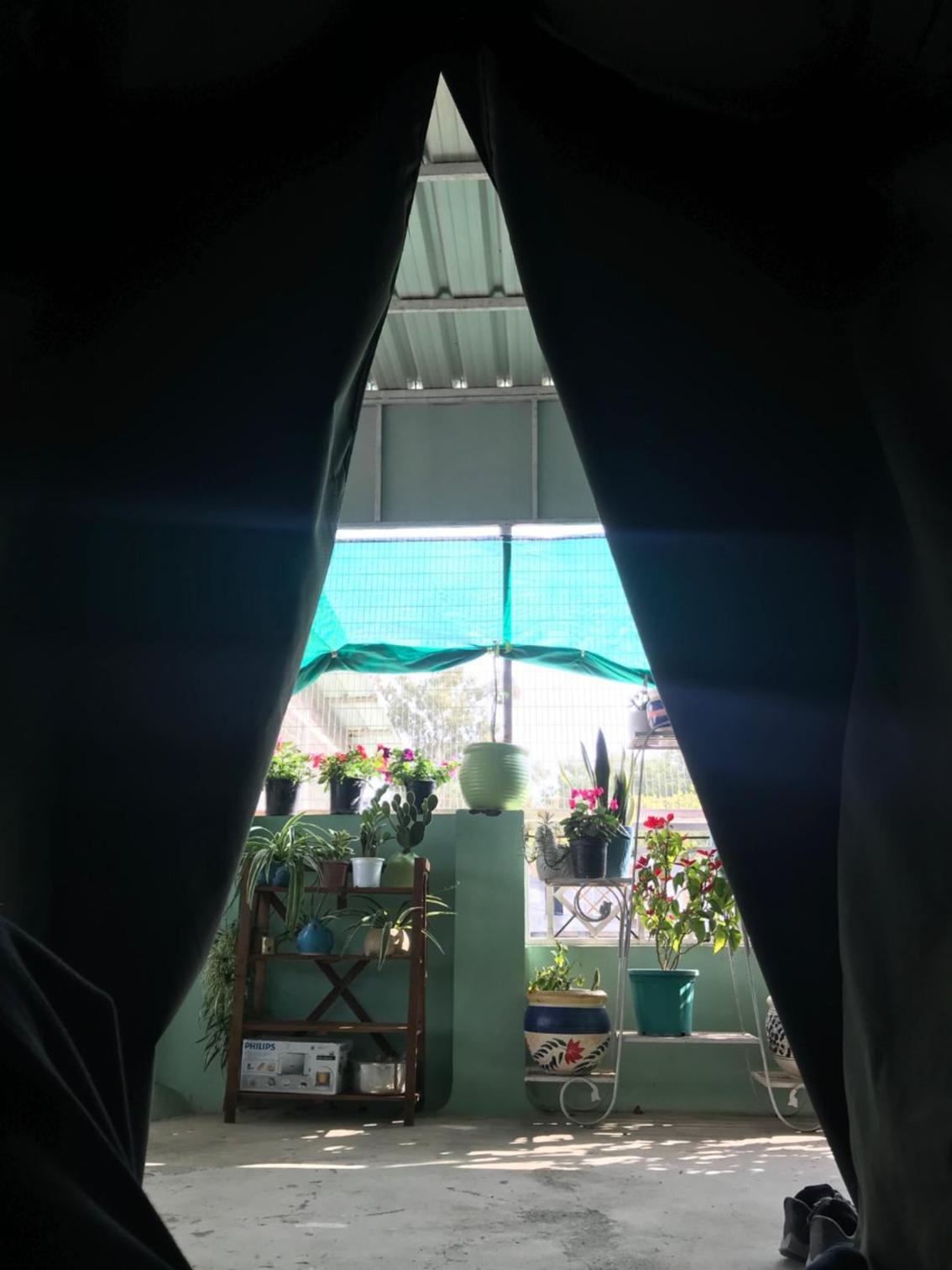9Backpackers view 5