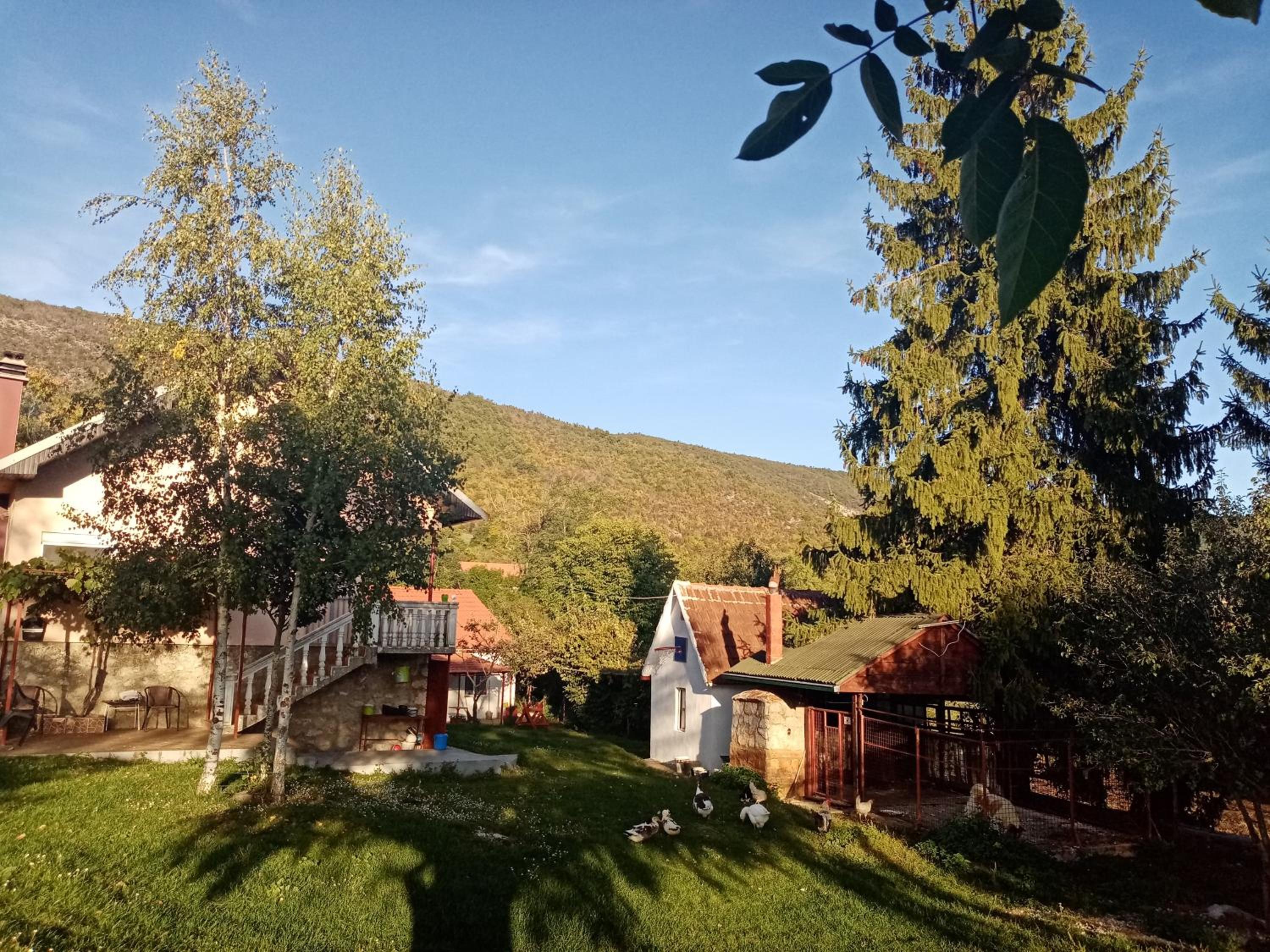 Photo 16