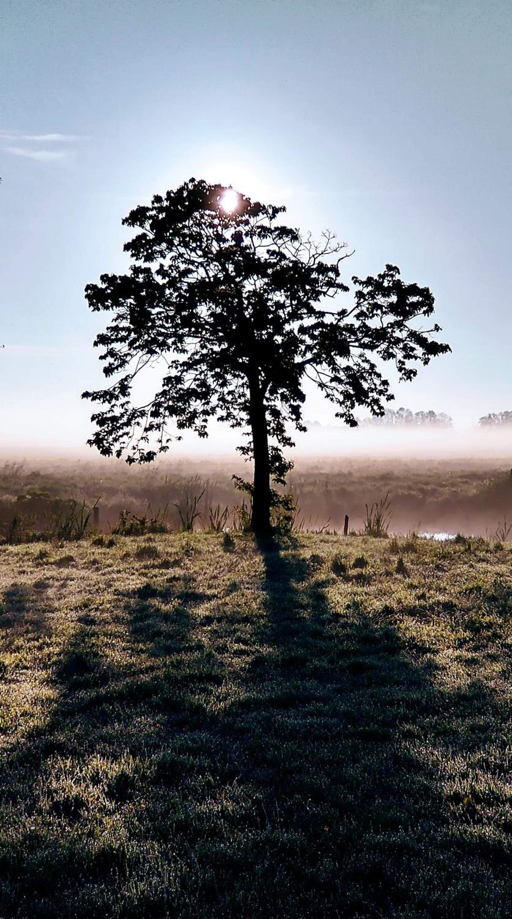 B&Bslapenopeeneiland, photo 39
