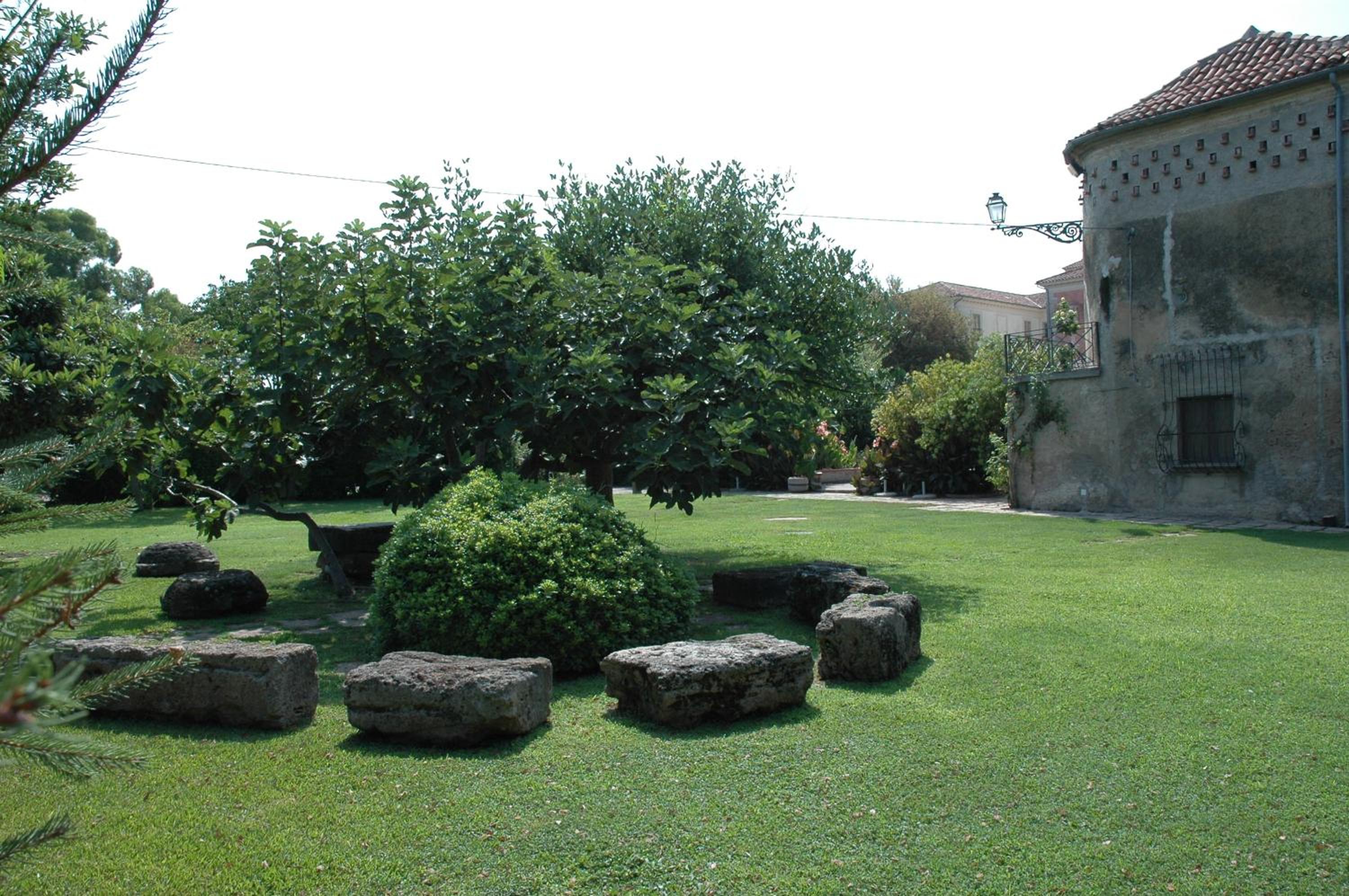 Photo 15