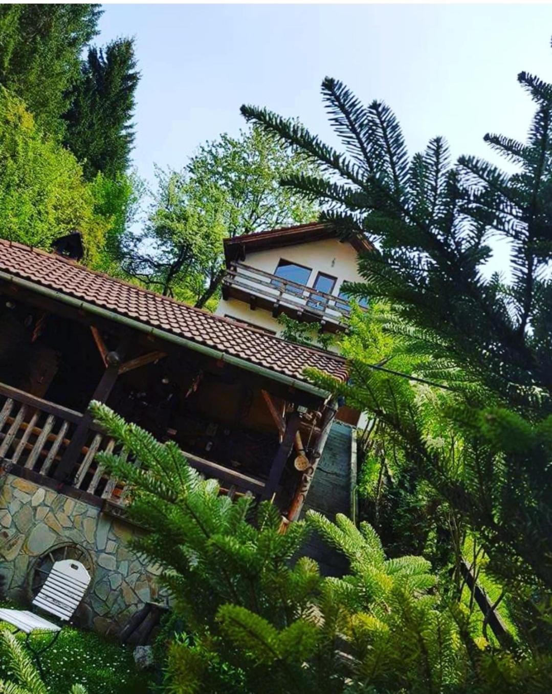 Cabana Vânătorilor view 5