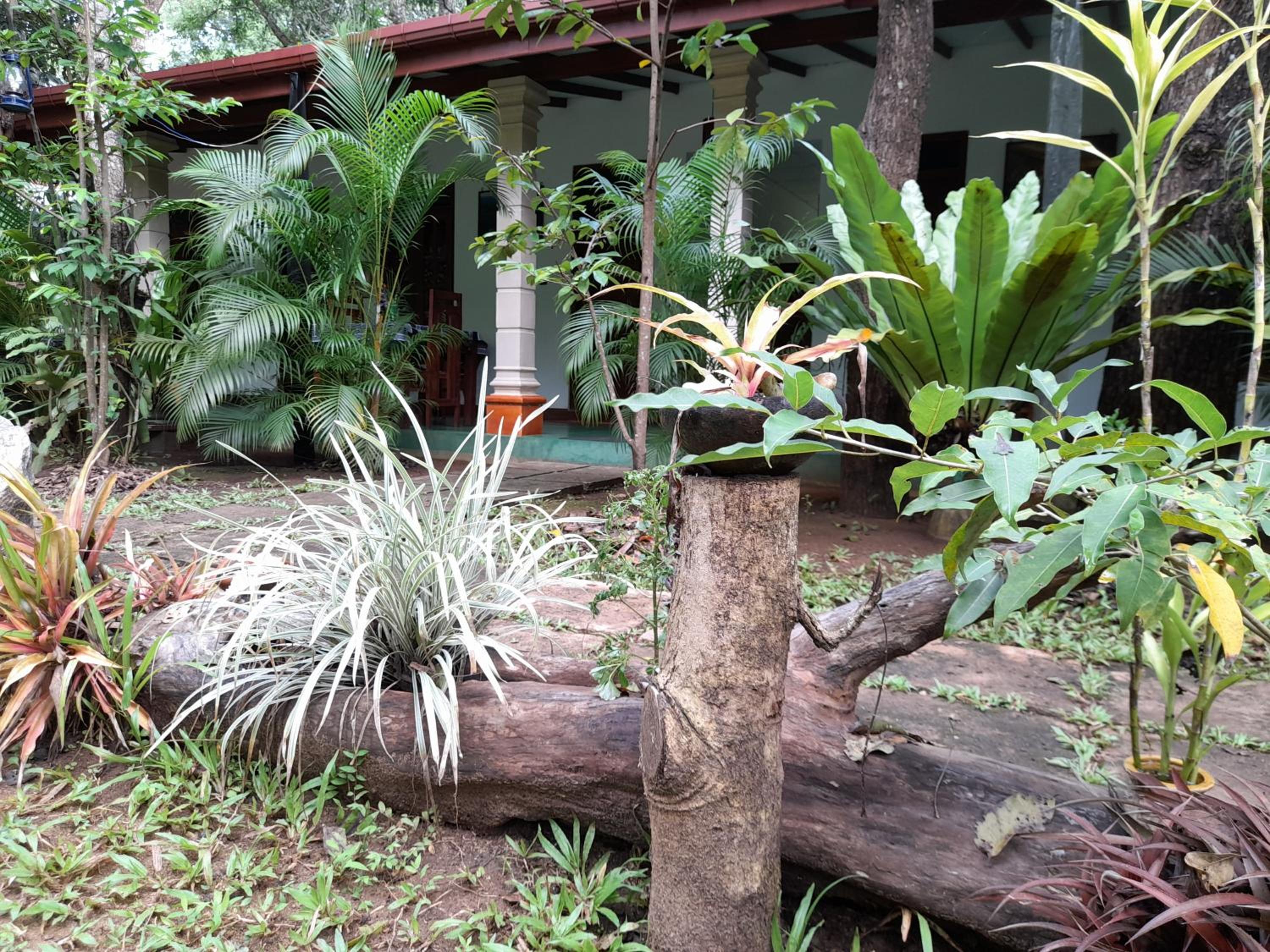 Sigiri Jungle Villa