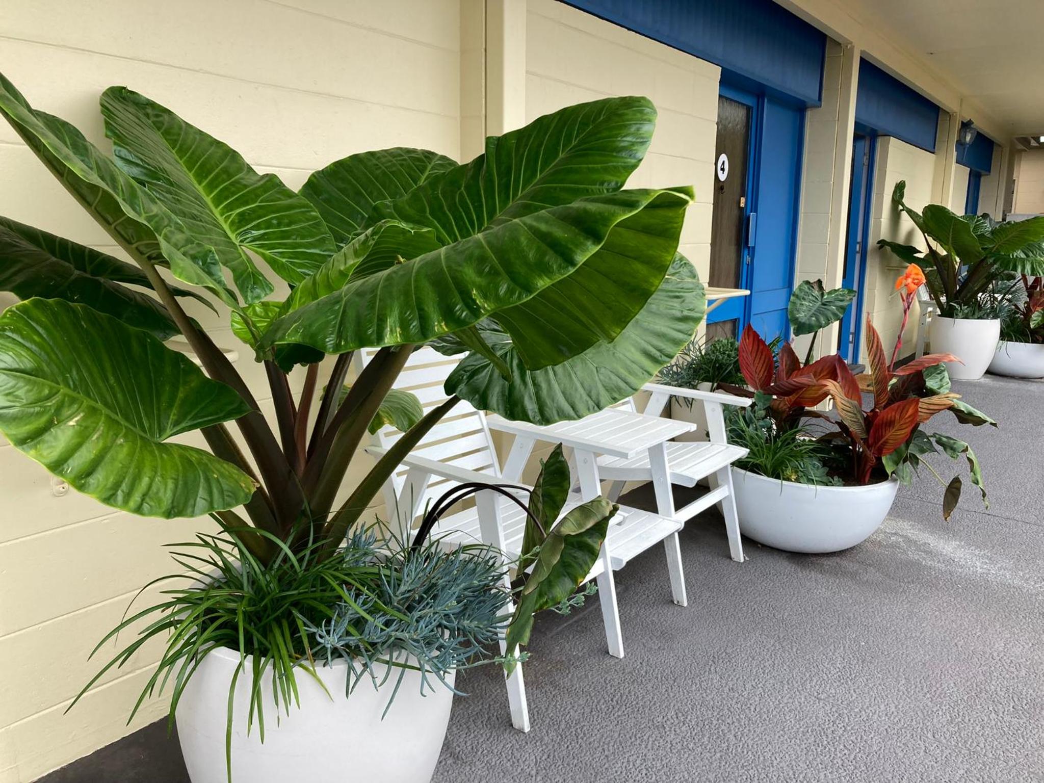 South Seas Motel view 5