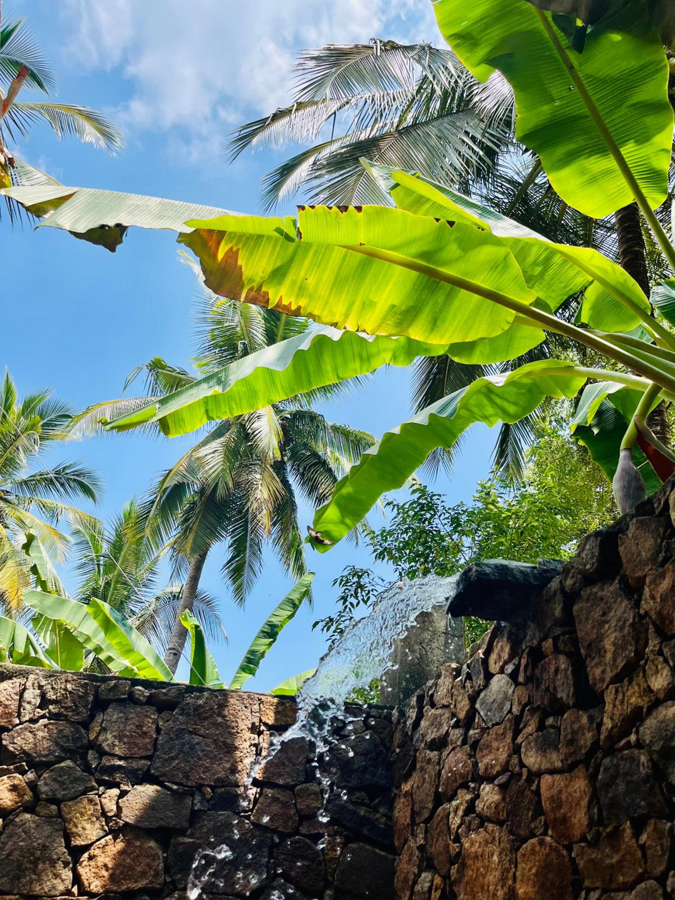 Mango Tree House view 4