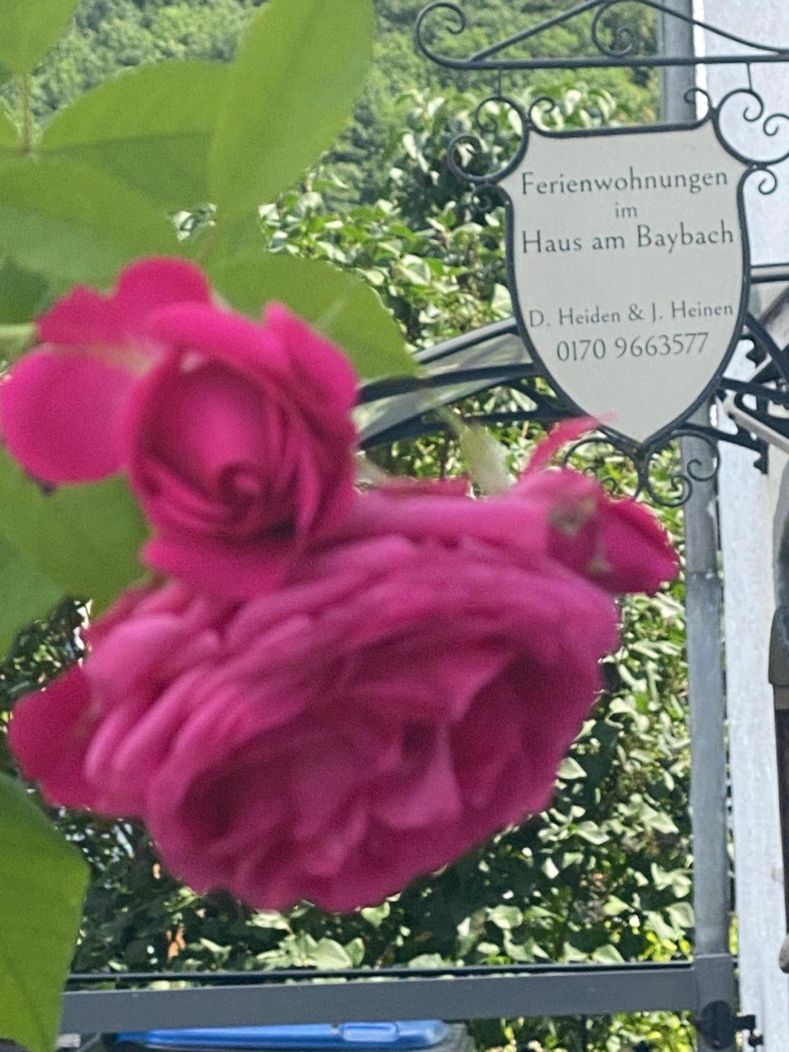 Ferienhaus am Baybach in Burgen an der Mosel