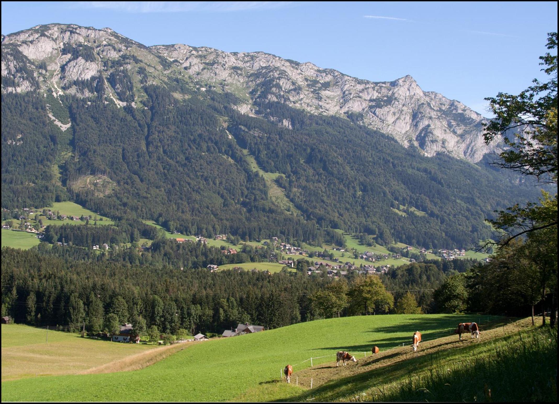 Kalßnhof
