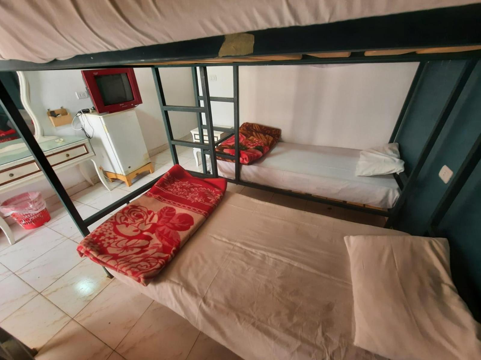 Octopus Hotel