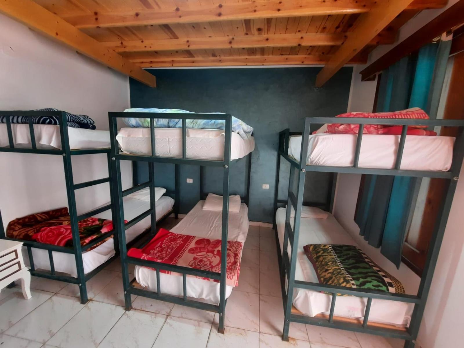 Octopus Hotel