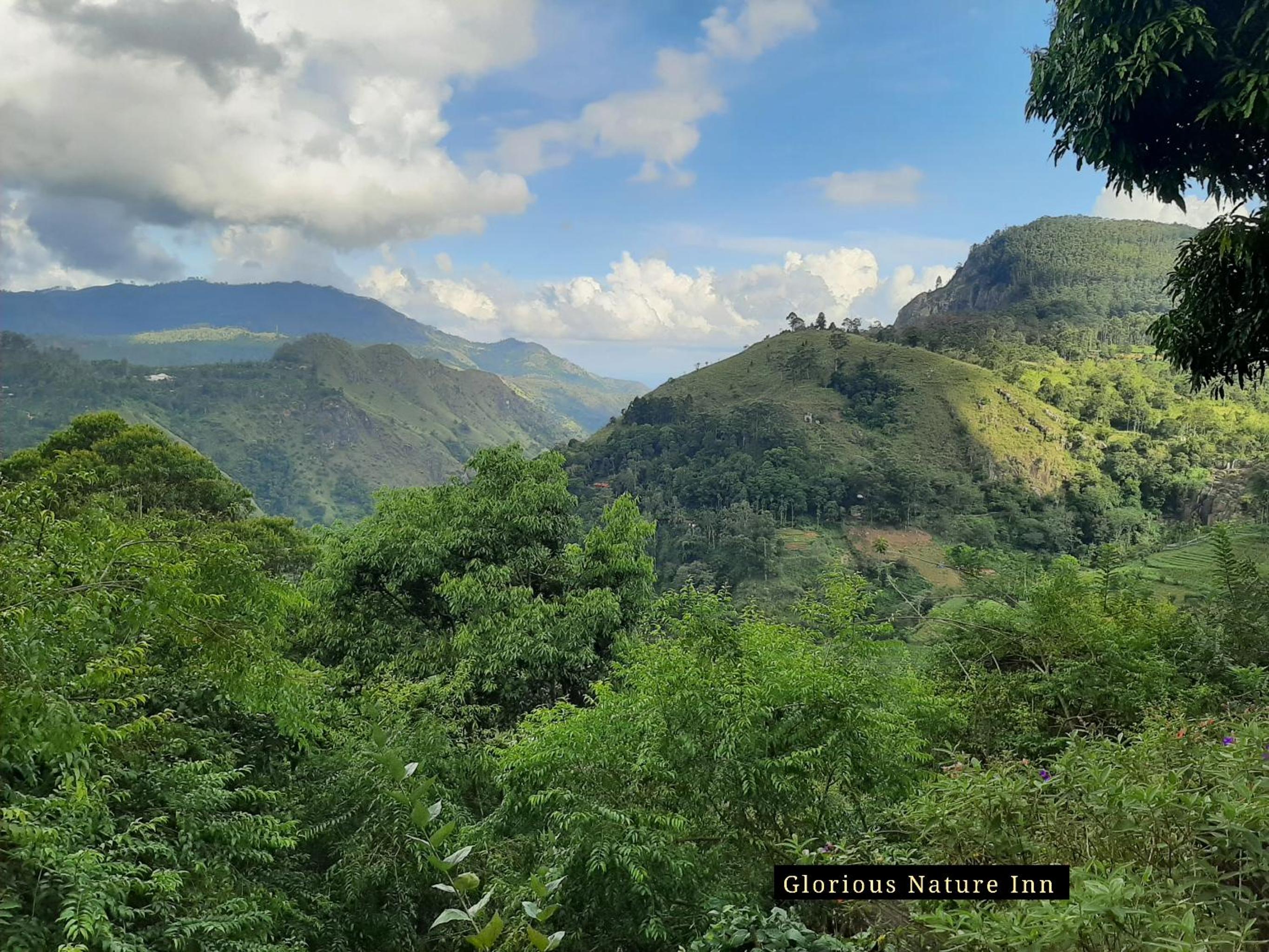 Glorious Nature Inn view 4