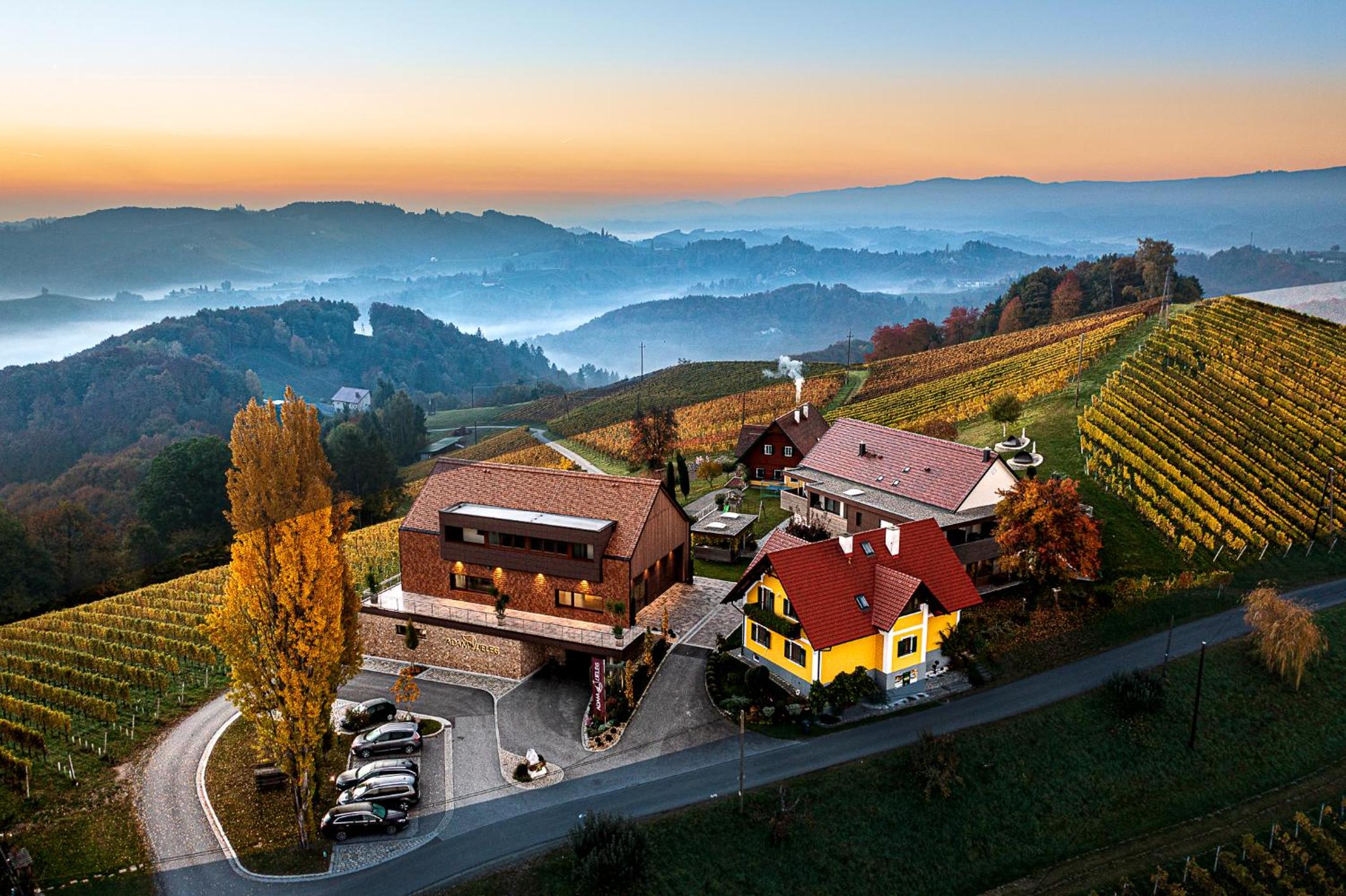 Weingut-Wohlfühlzimmer Adam-Lieleg