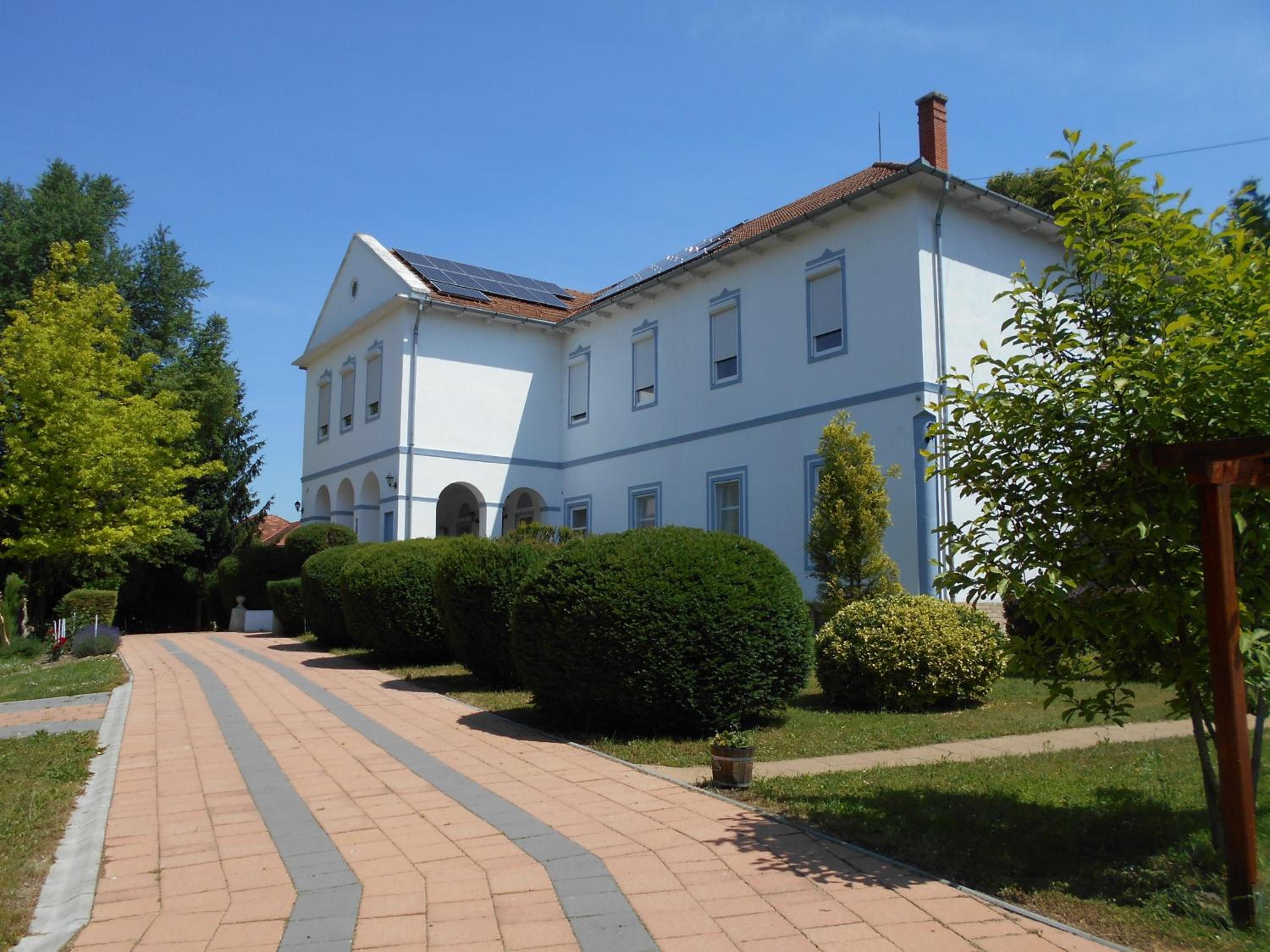 Photo 6