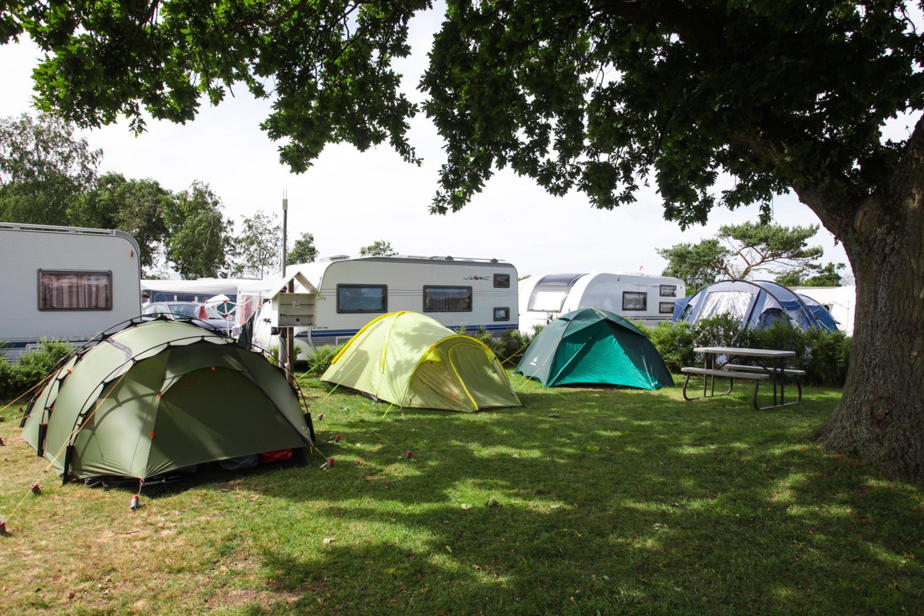 Hasle Camping (Empty Lots) view 3