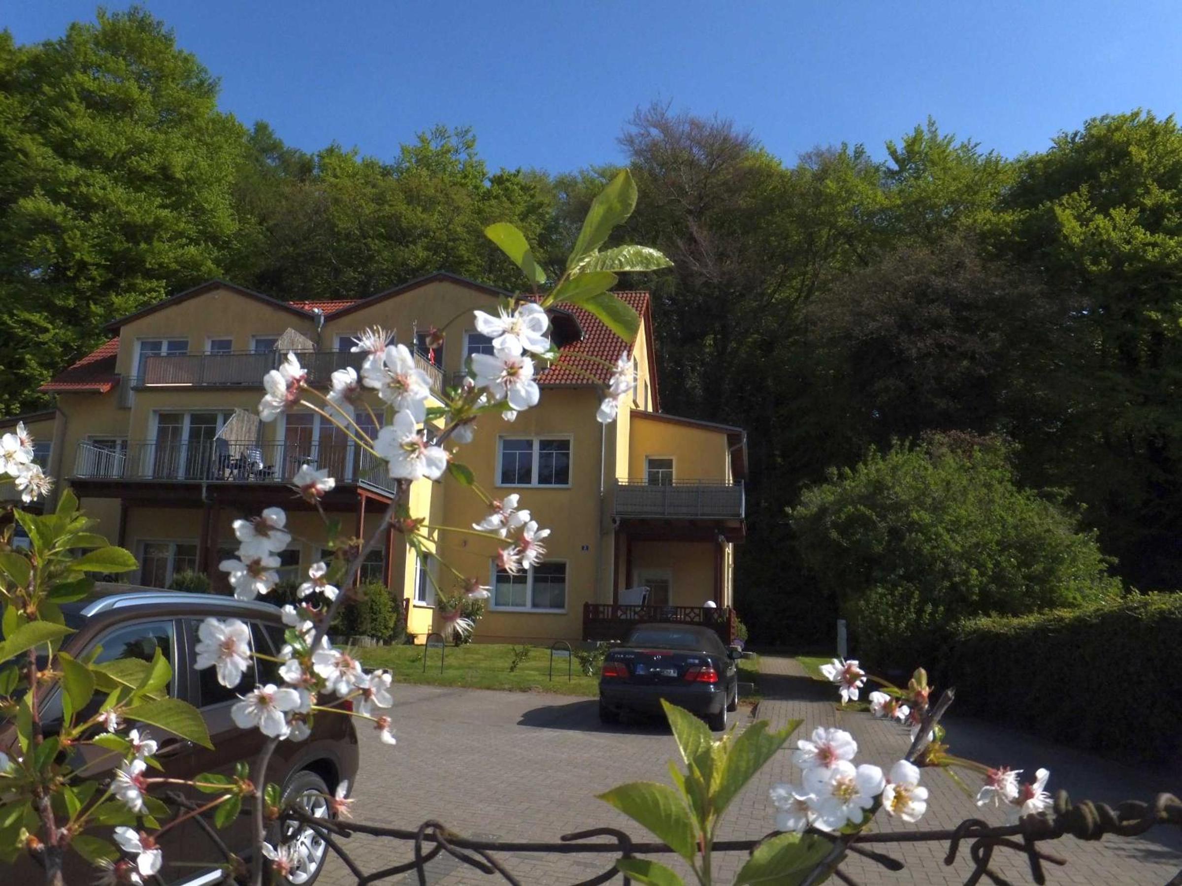 FeWo Sonnenblick view 5