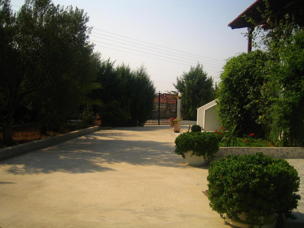 Photo 7