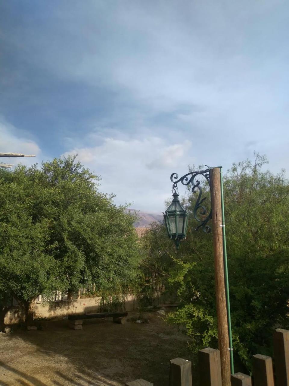 Cactus y Almacen - Purmamarca