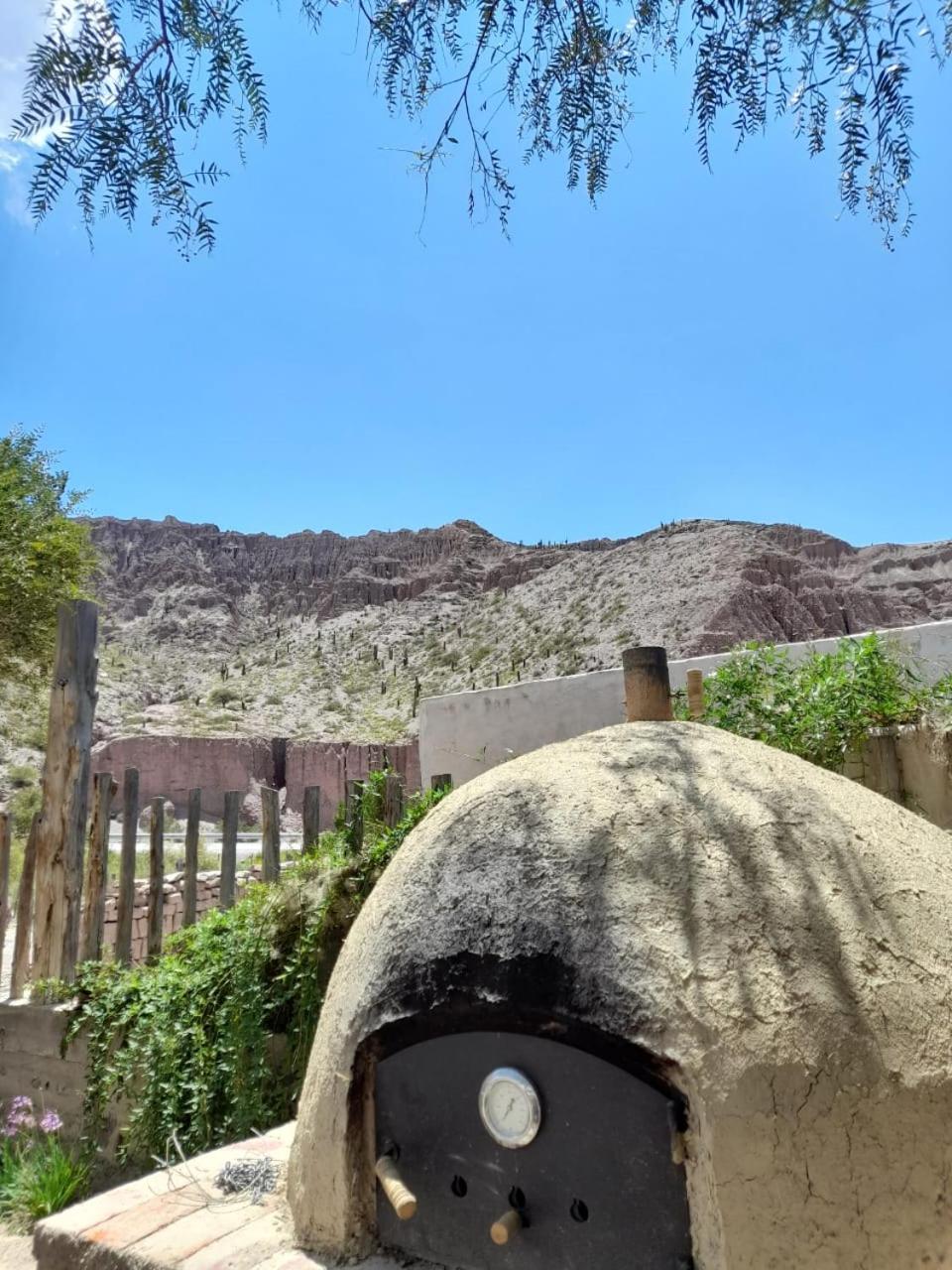 Cactus y Almacen - Purmamarca