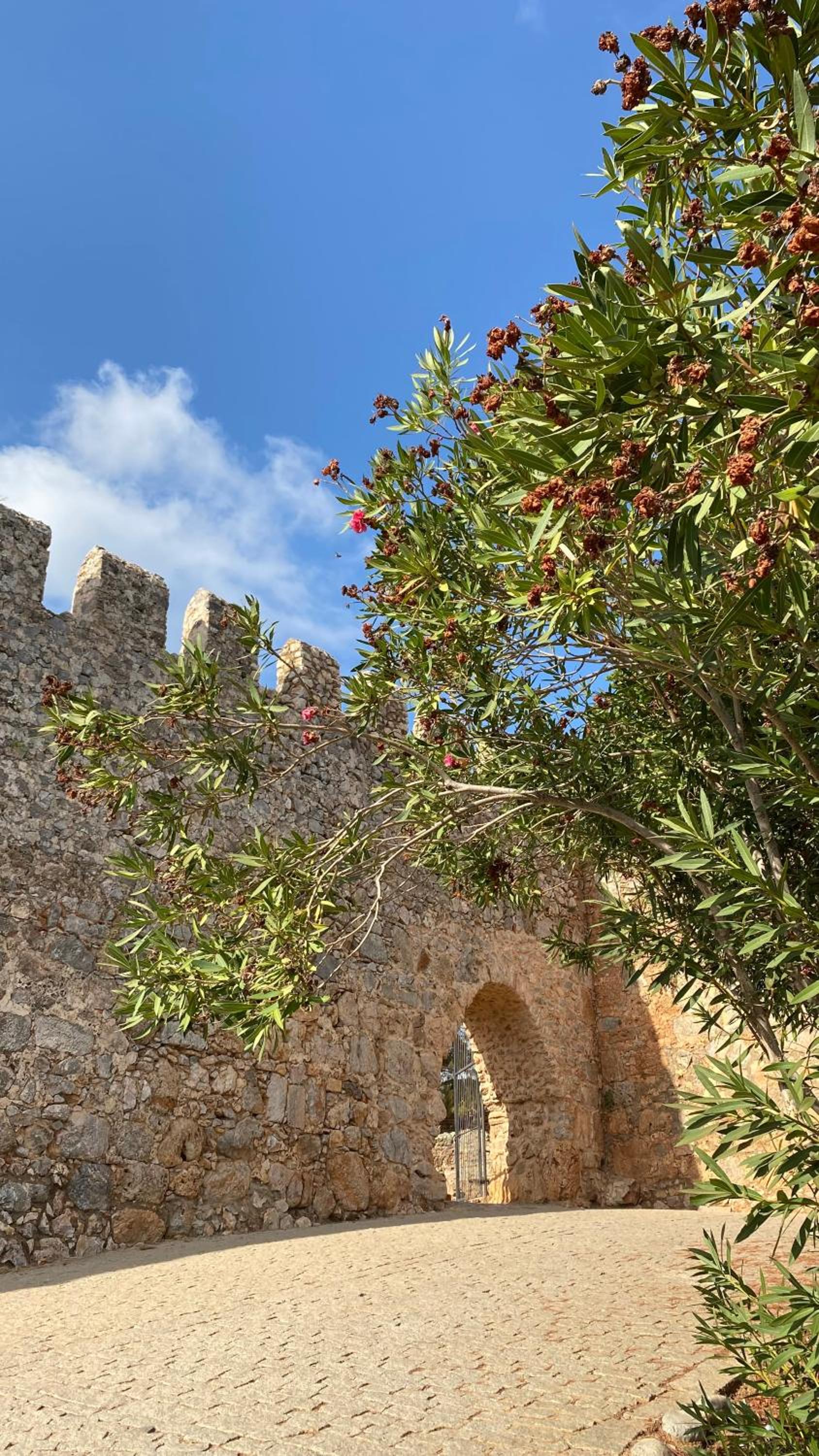 Livaneli Boutique Otel - Image 61