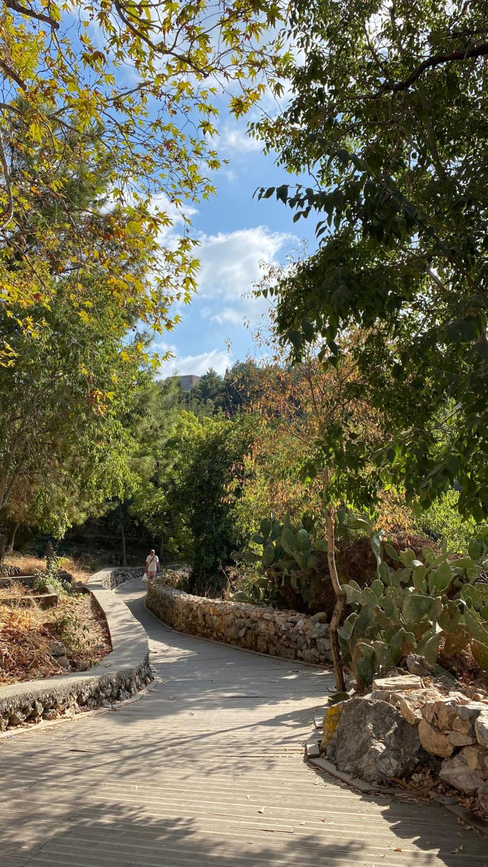 Livaneli Boutique Otel - Image 63