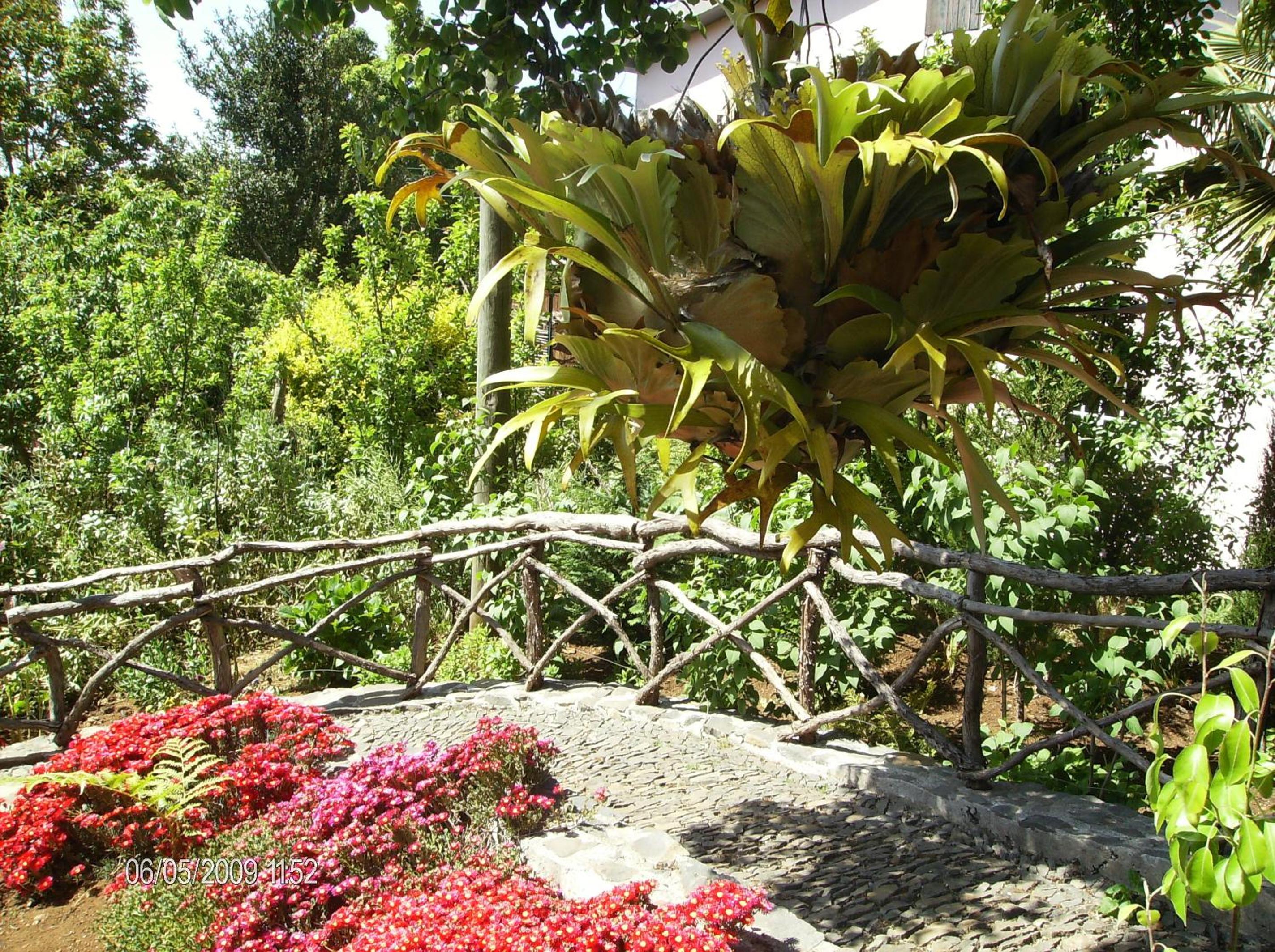 Casa Rosa view 3