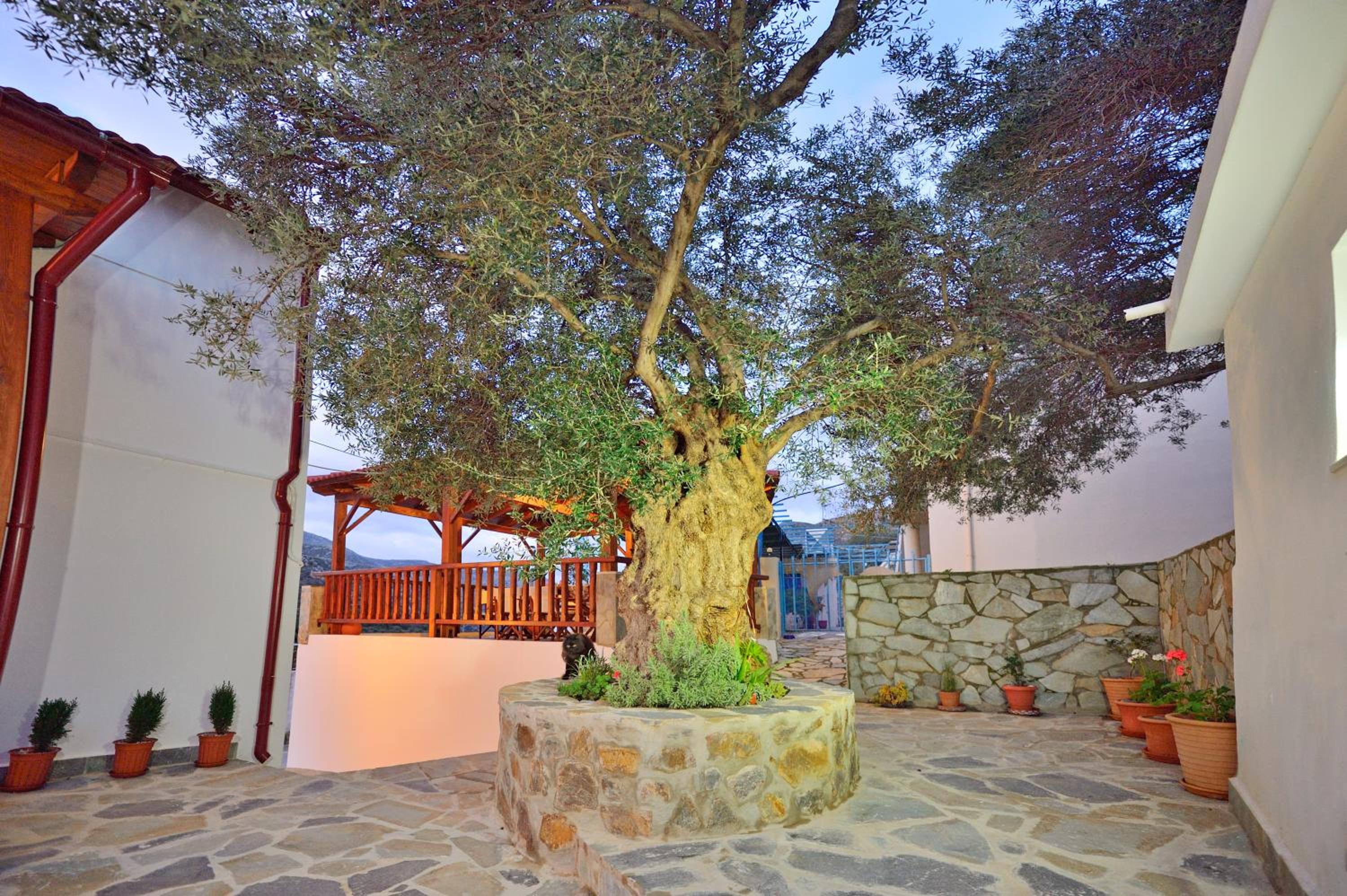 Plokamos House view 3