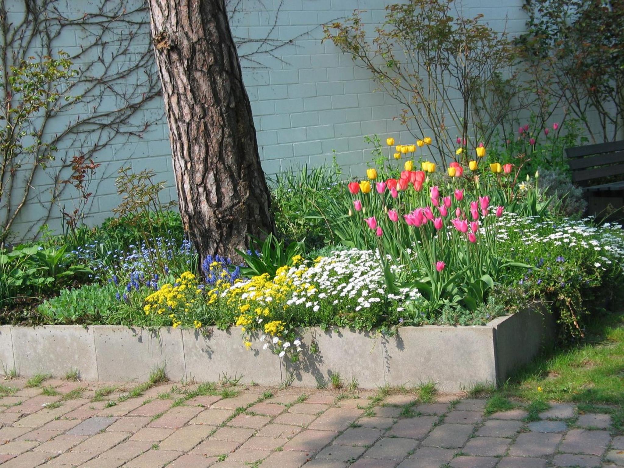 Photo 16
