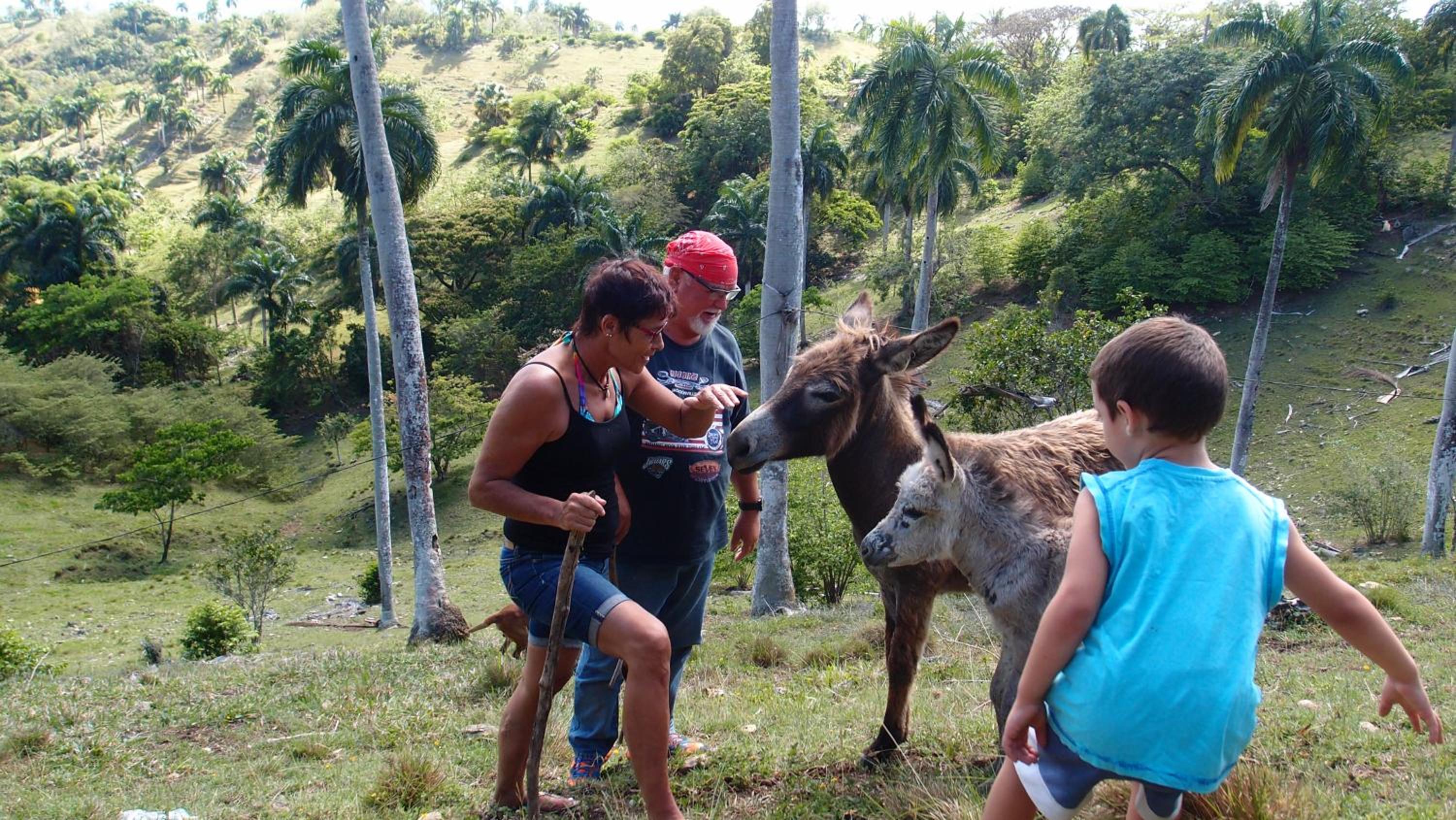 Finca la Contenta view 2