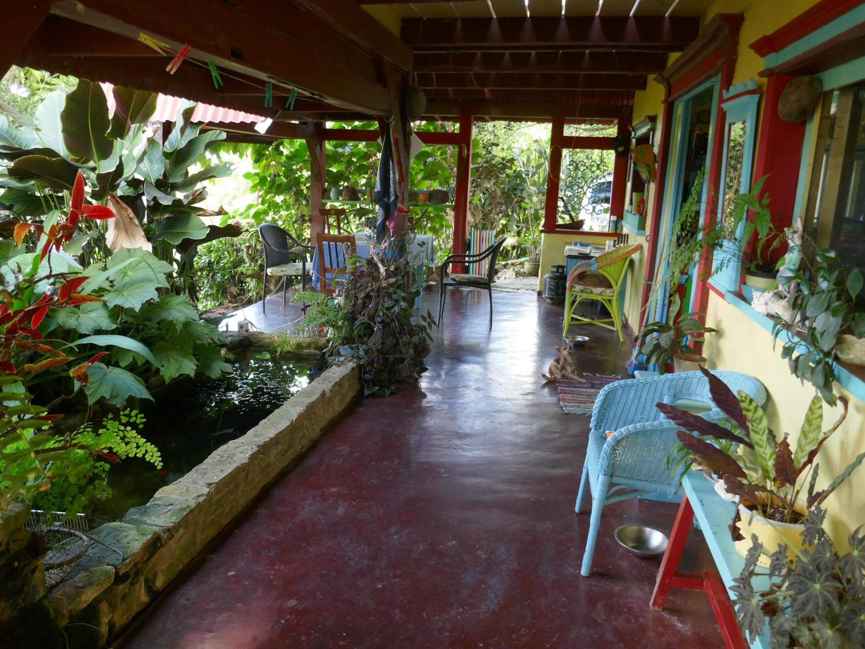 Photo 12