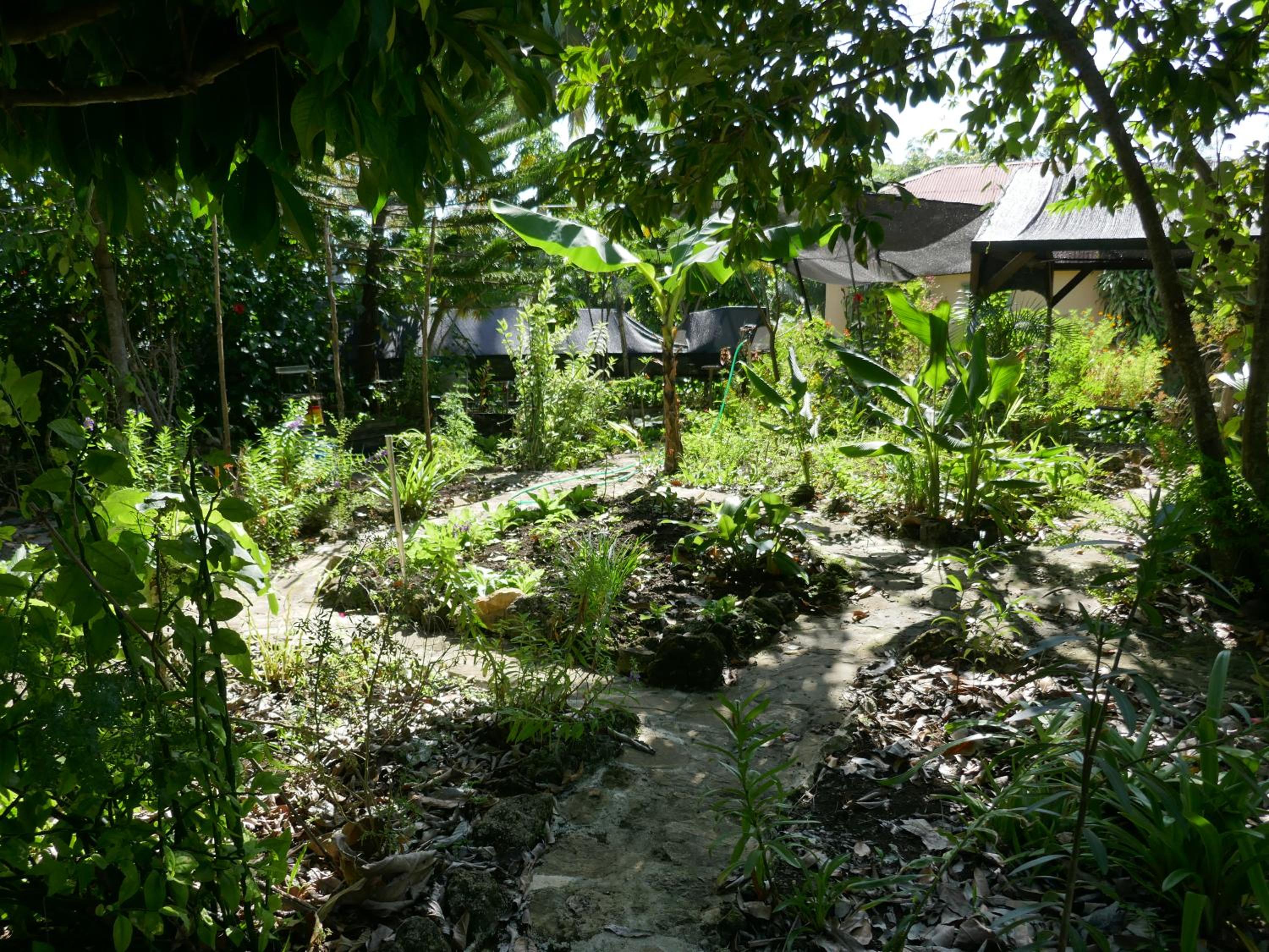 Photo 20