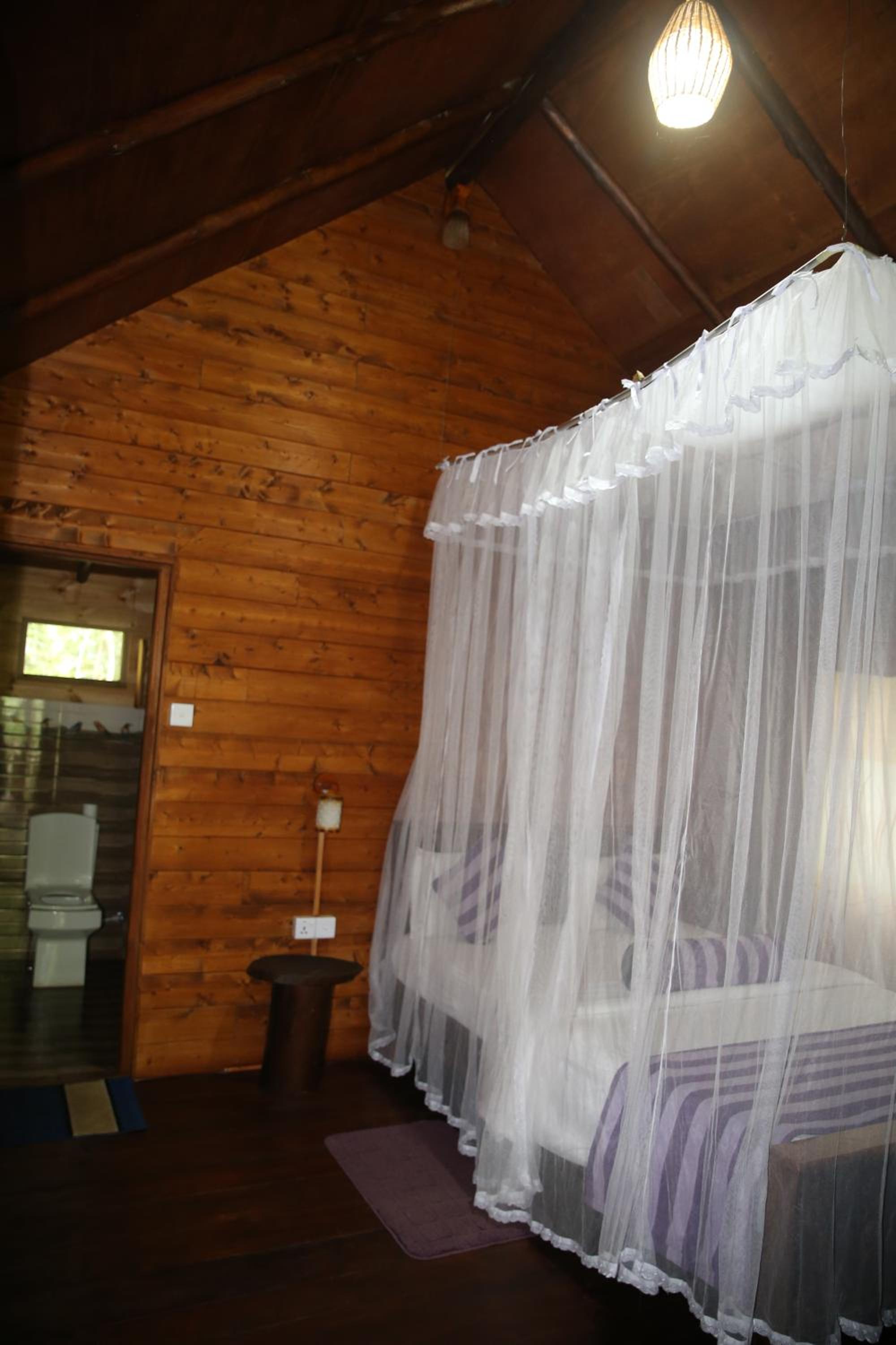 Photo 45