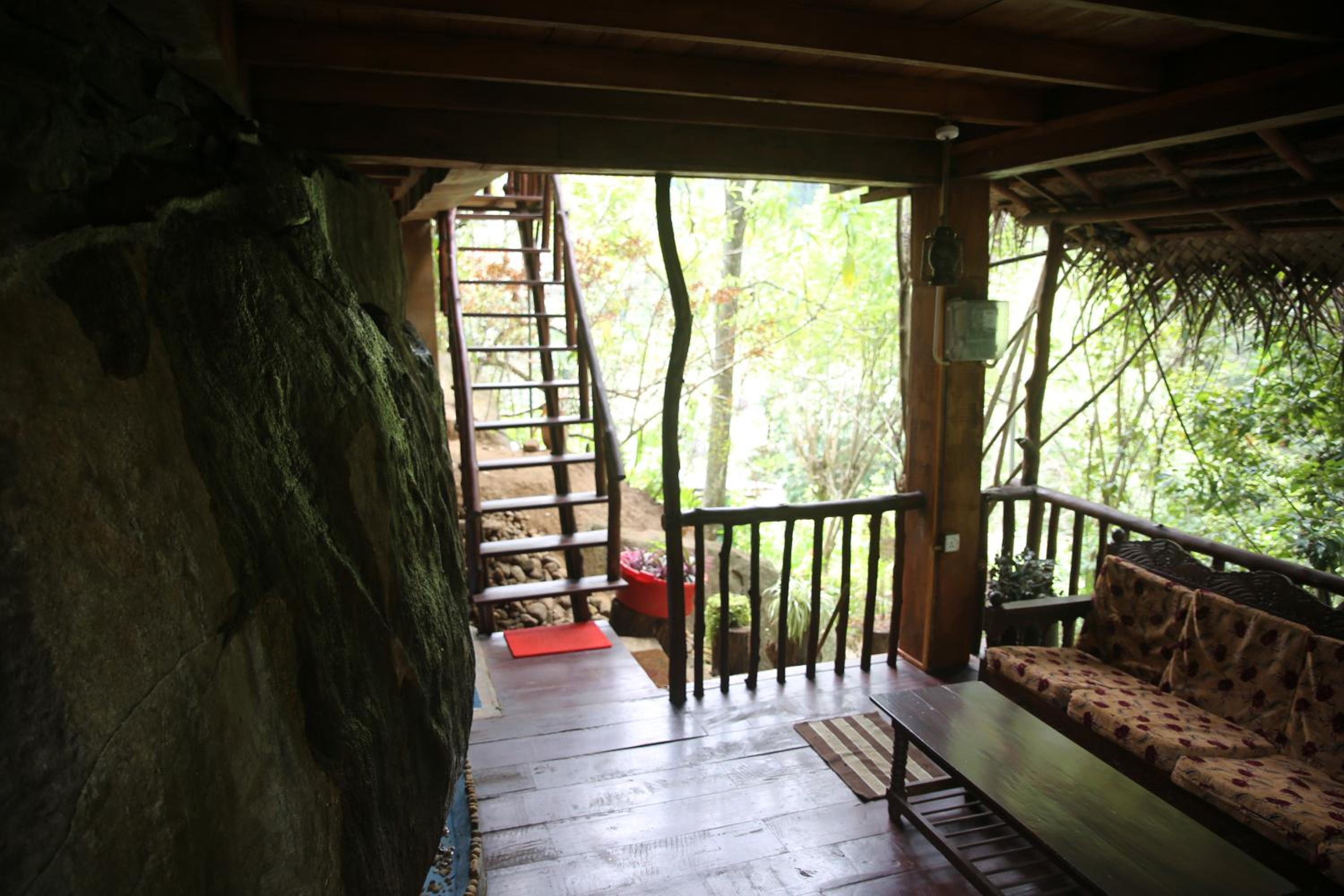 Photo 44