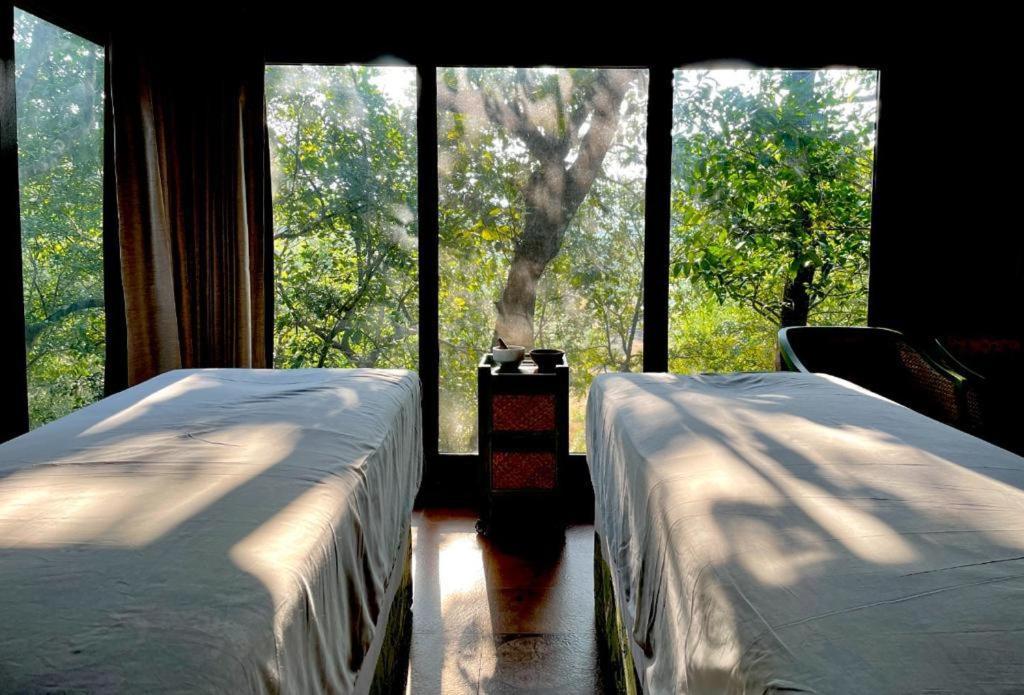The Postcard Hideaway, Netravali Wildlife Sanctuary, South Goa