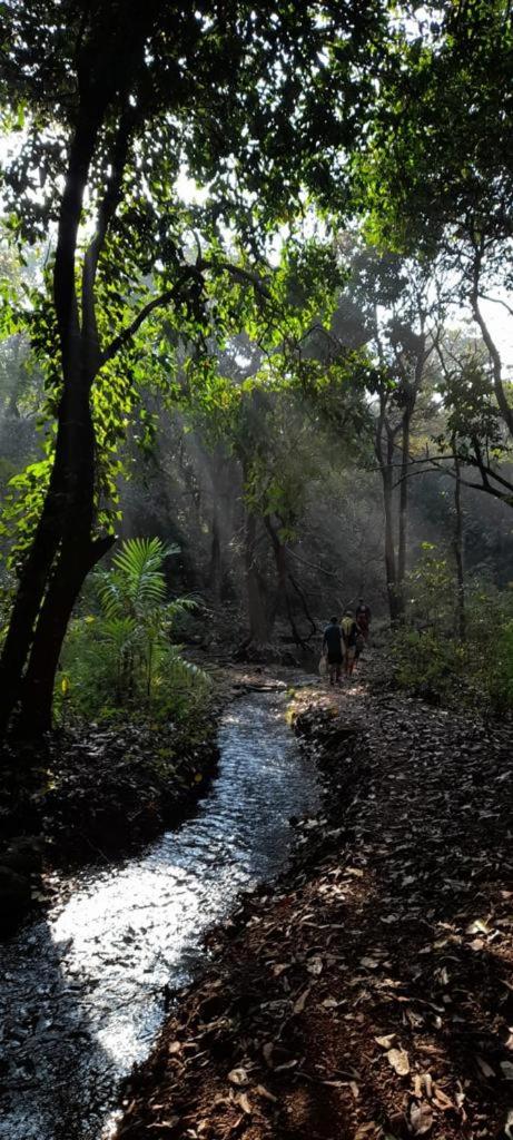 The Postcard Hideaway, Netravali Wildlife Sanctuary, South Goa