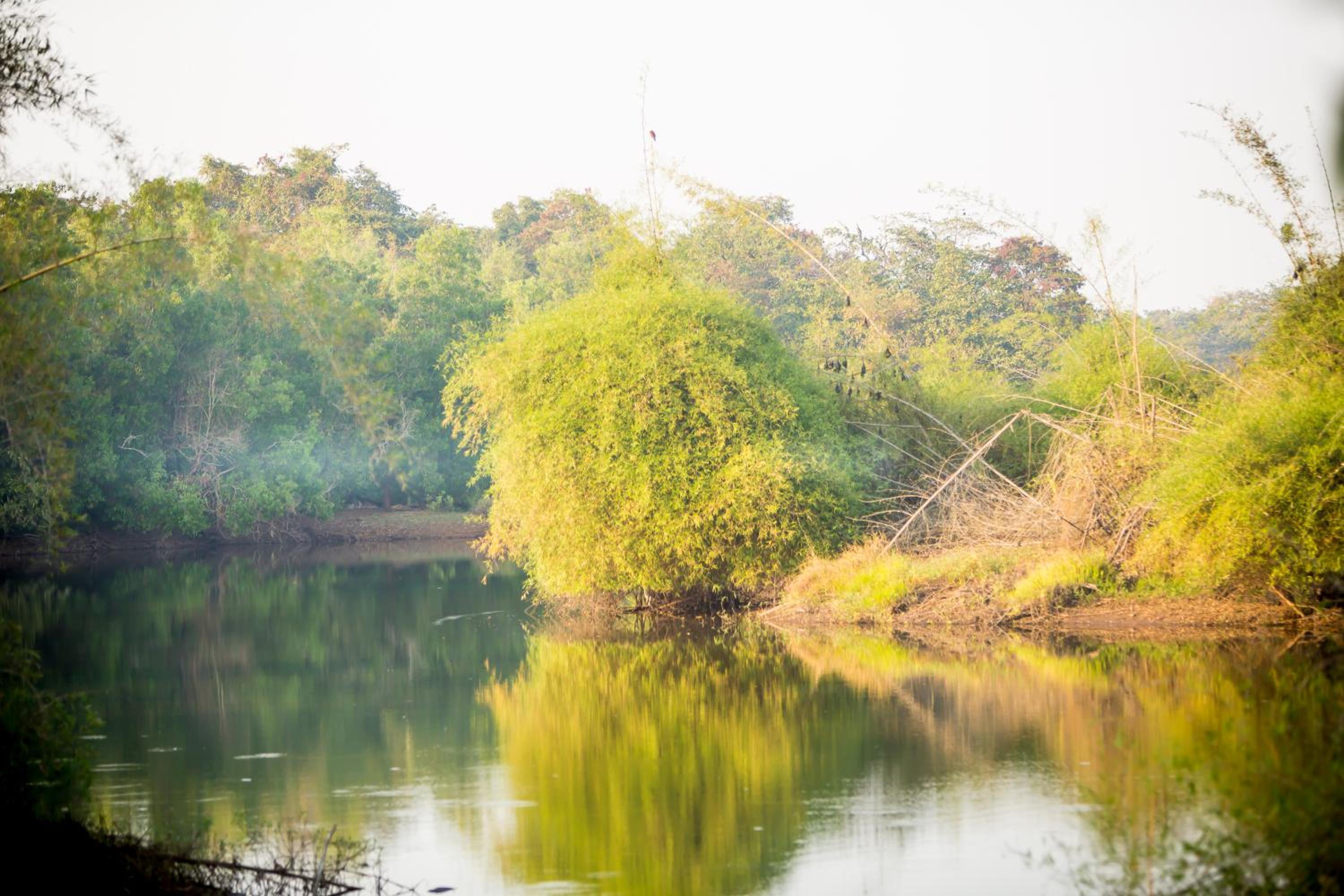 The Postcard Hideaway, Netravali Wildlife Sanctuary, South Goa