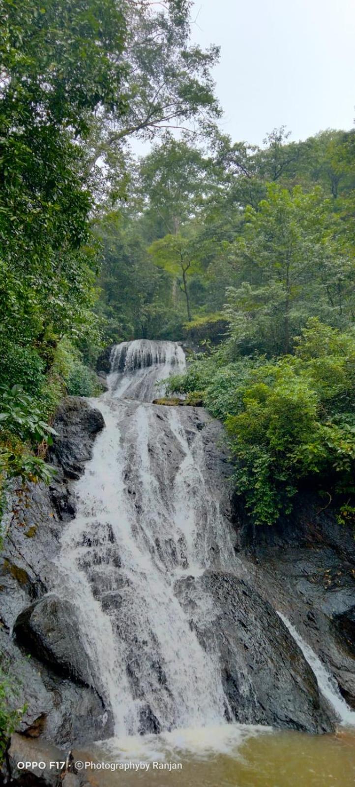 The Postcard Hideaway, Netravali Wildlife Sanctuary, South Goa
