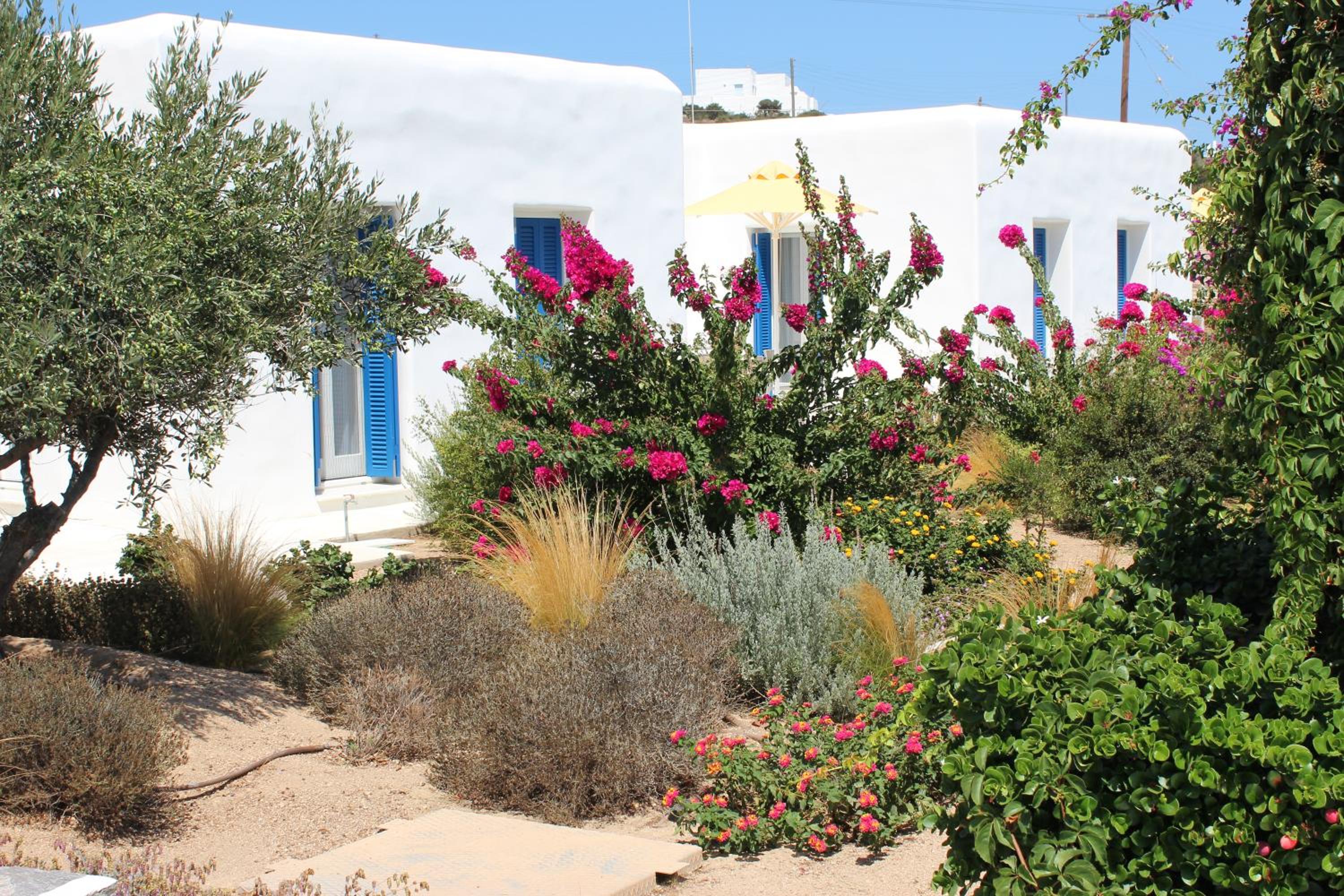 Hotel Blue Amaryllis Villas - Image 1