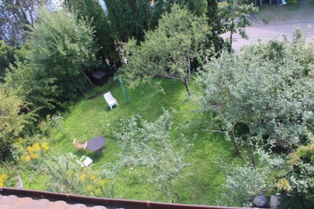 Photo 41