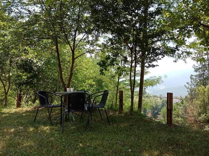 Apartman Oreol view 5