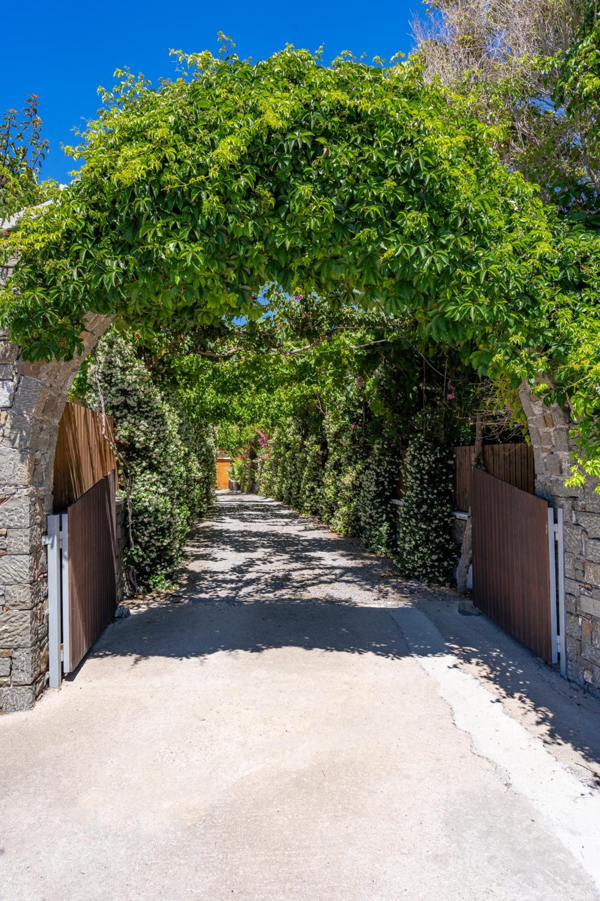 Horizon Line Villas