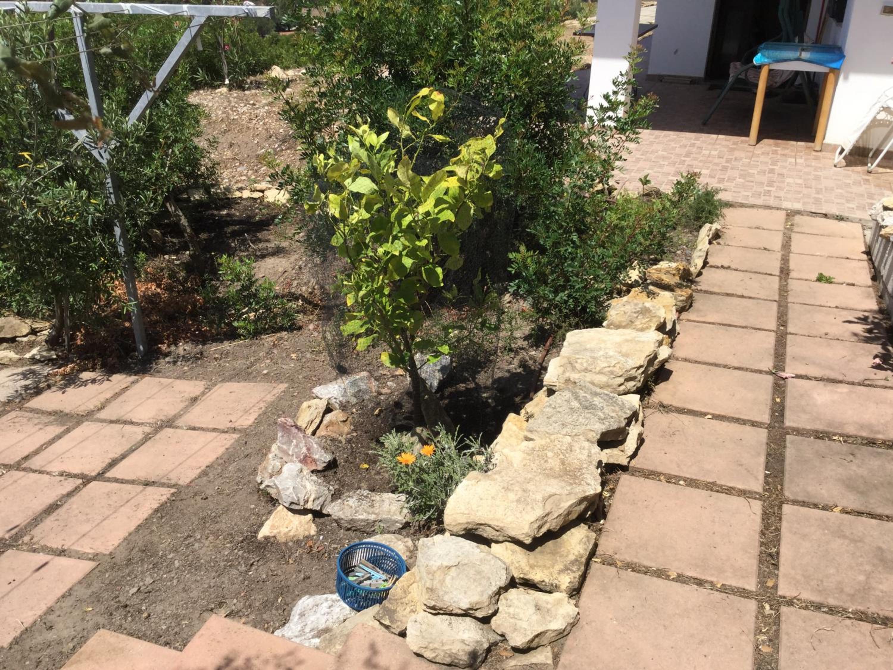 Photo 32