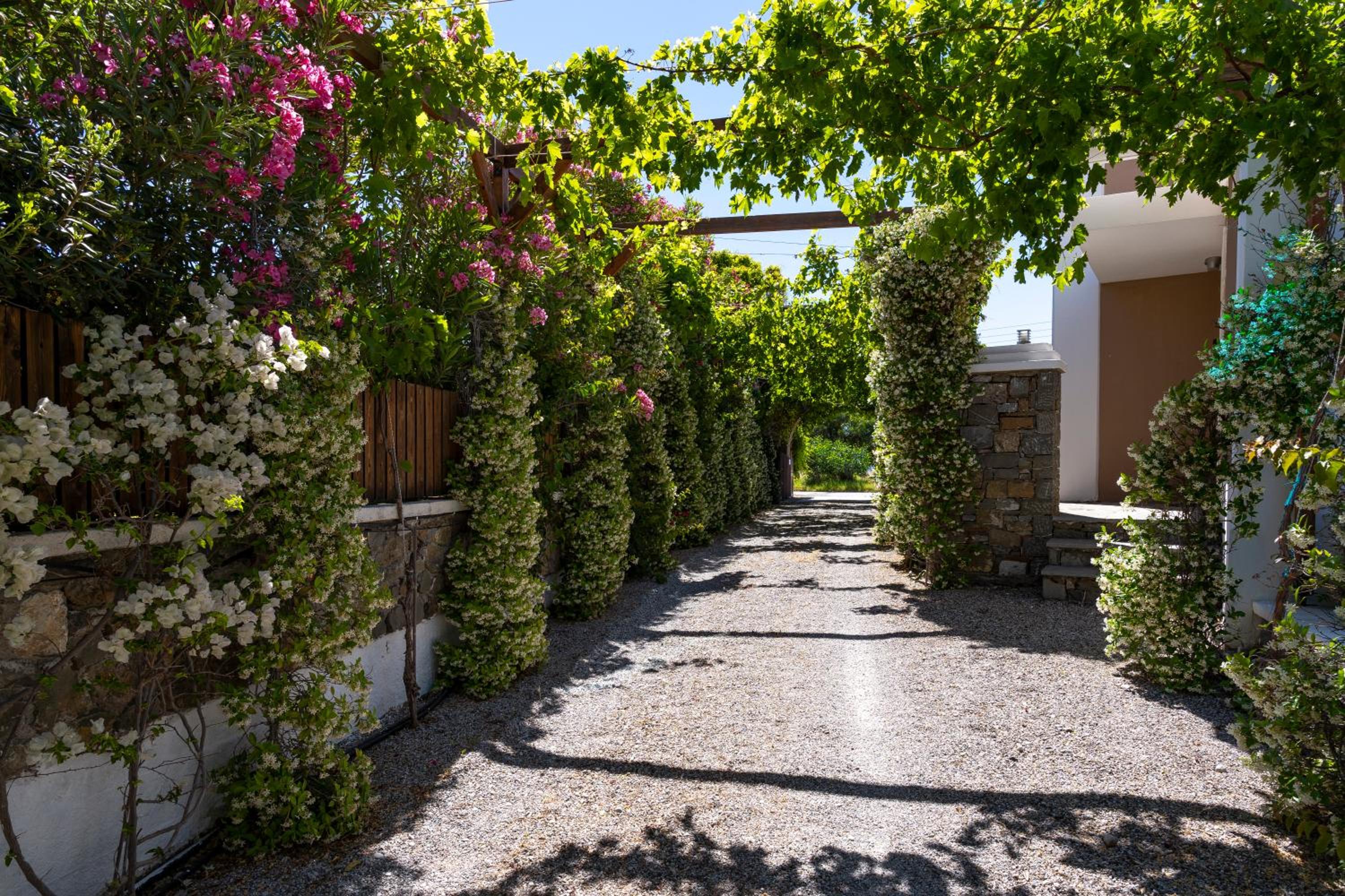 Horizon Line Villas