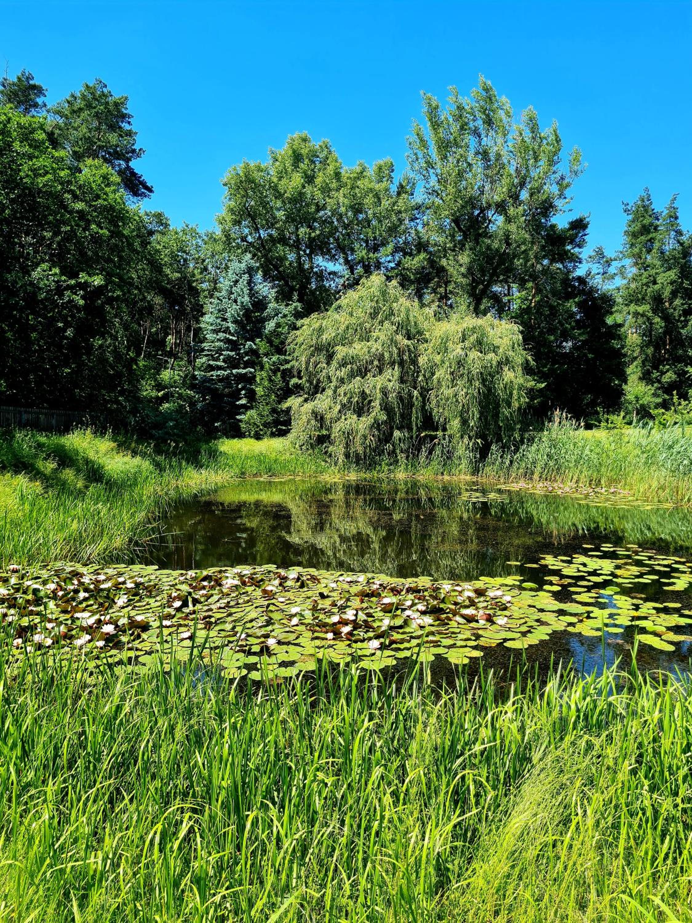 Wrzosowe Siedlisko view 3