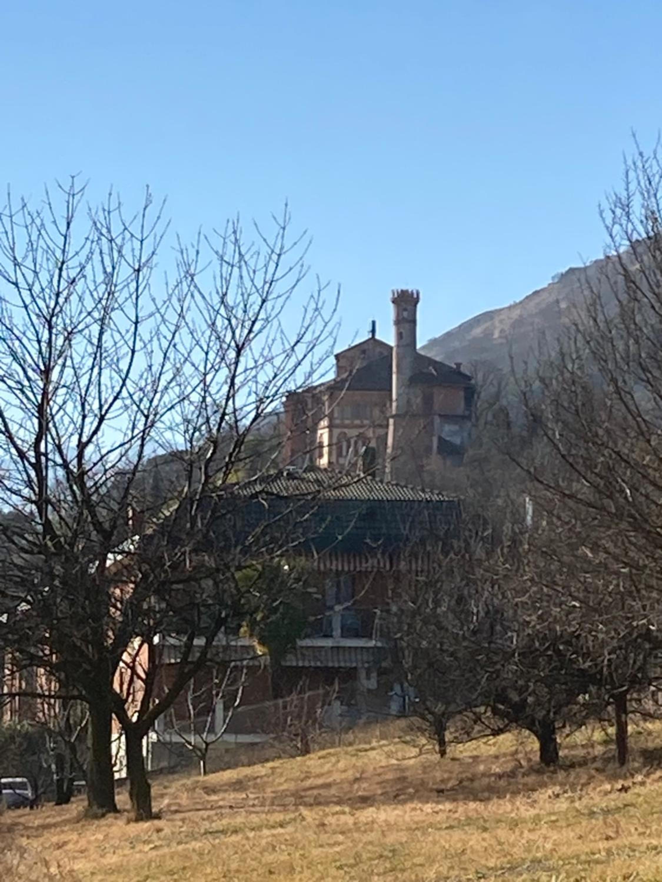 Casa dell'Agrifoglio