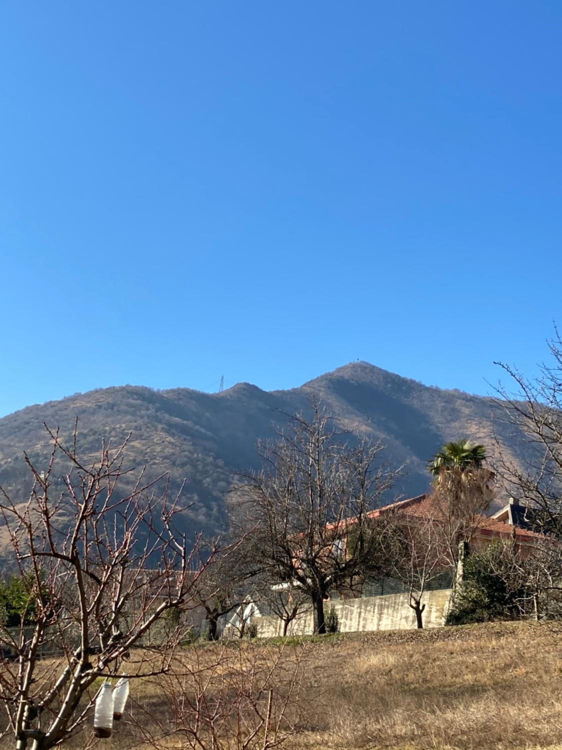 Casa dell'Agrifoglio