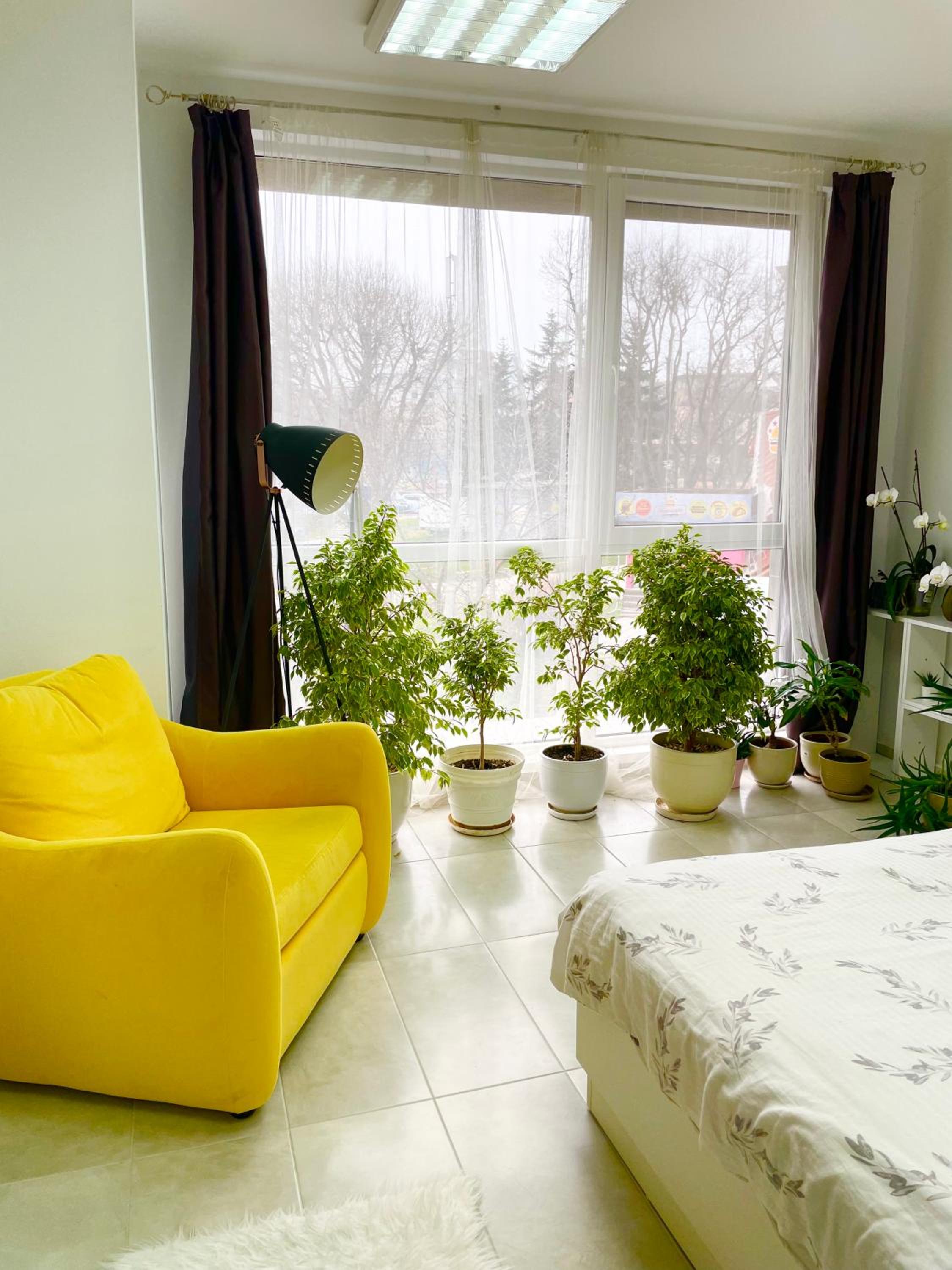 Felicity Super Central Apartment, photo 11