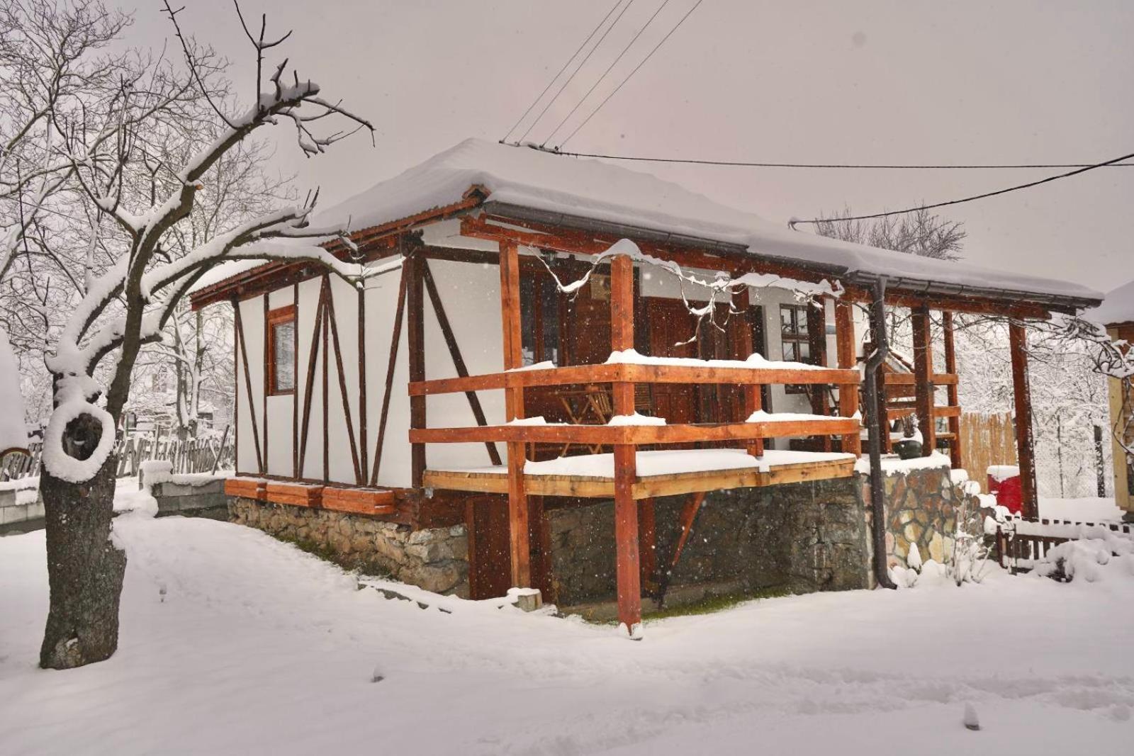 Mitrović view 5