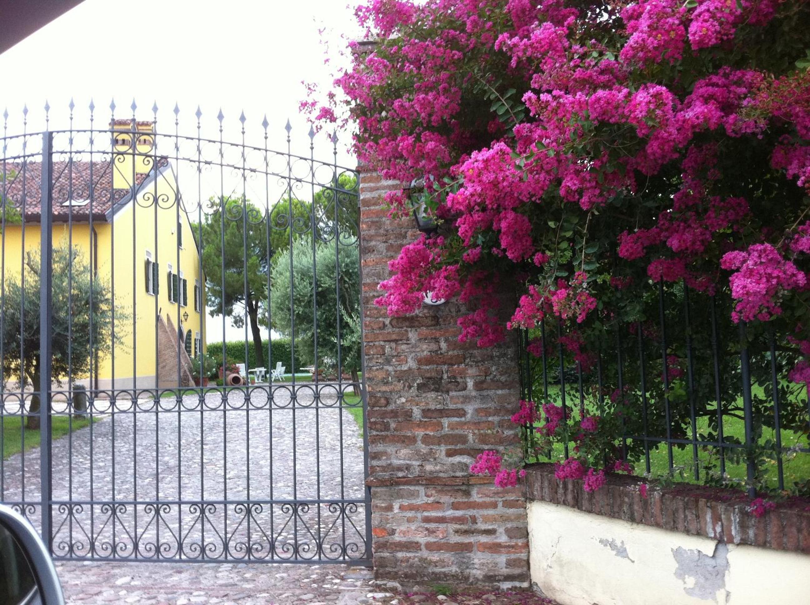 Agriturismo Corte Capiluppia view 2