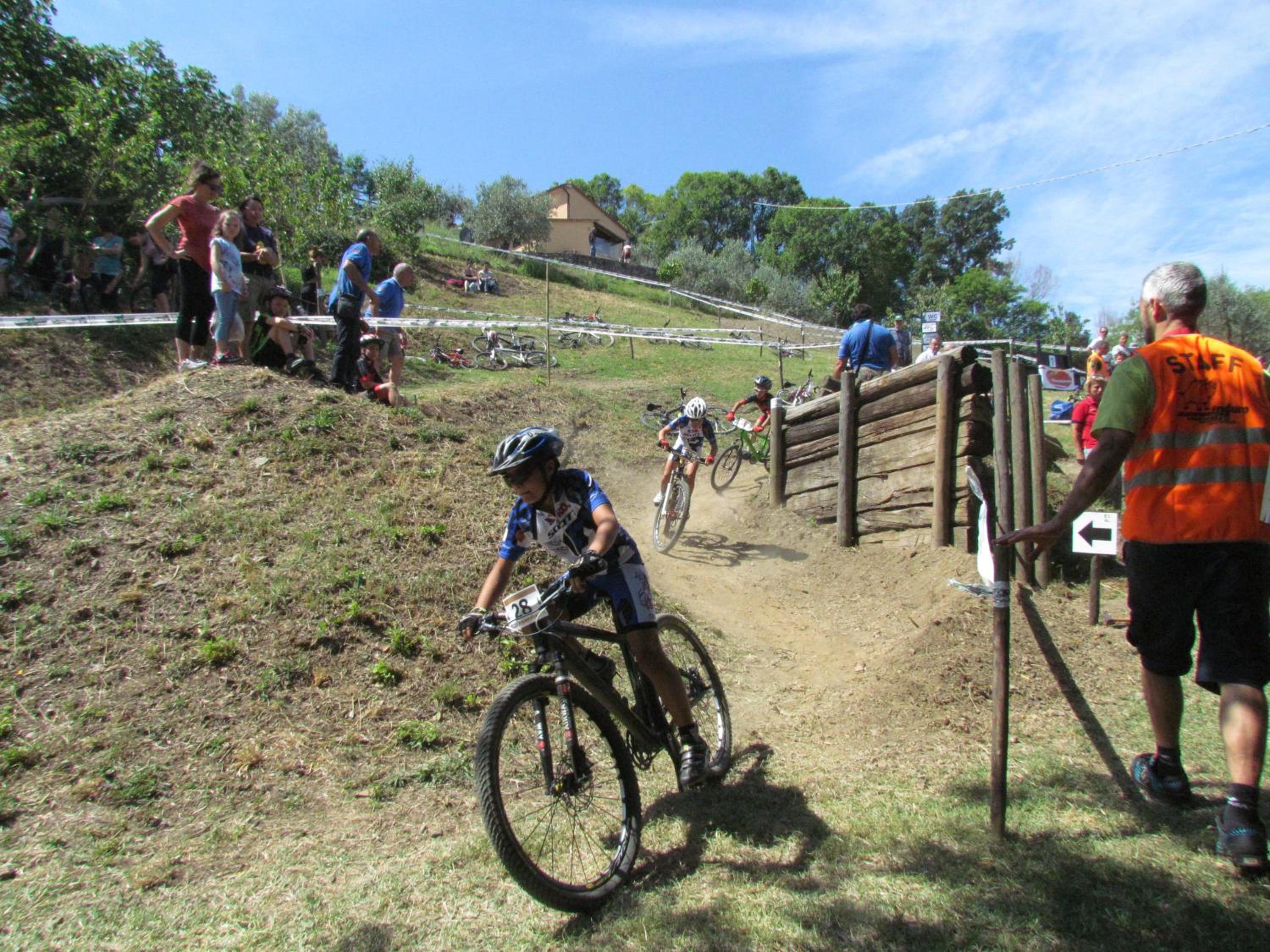 Photo 46