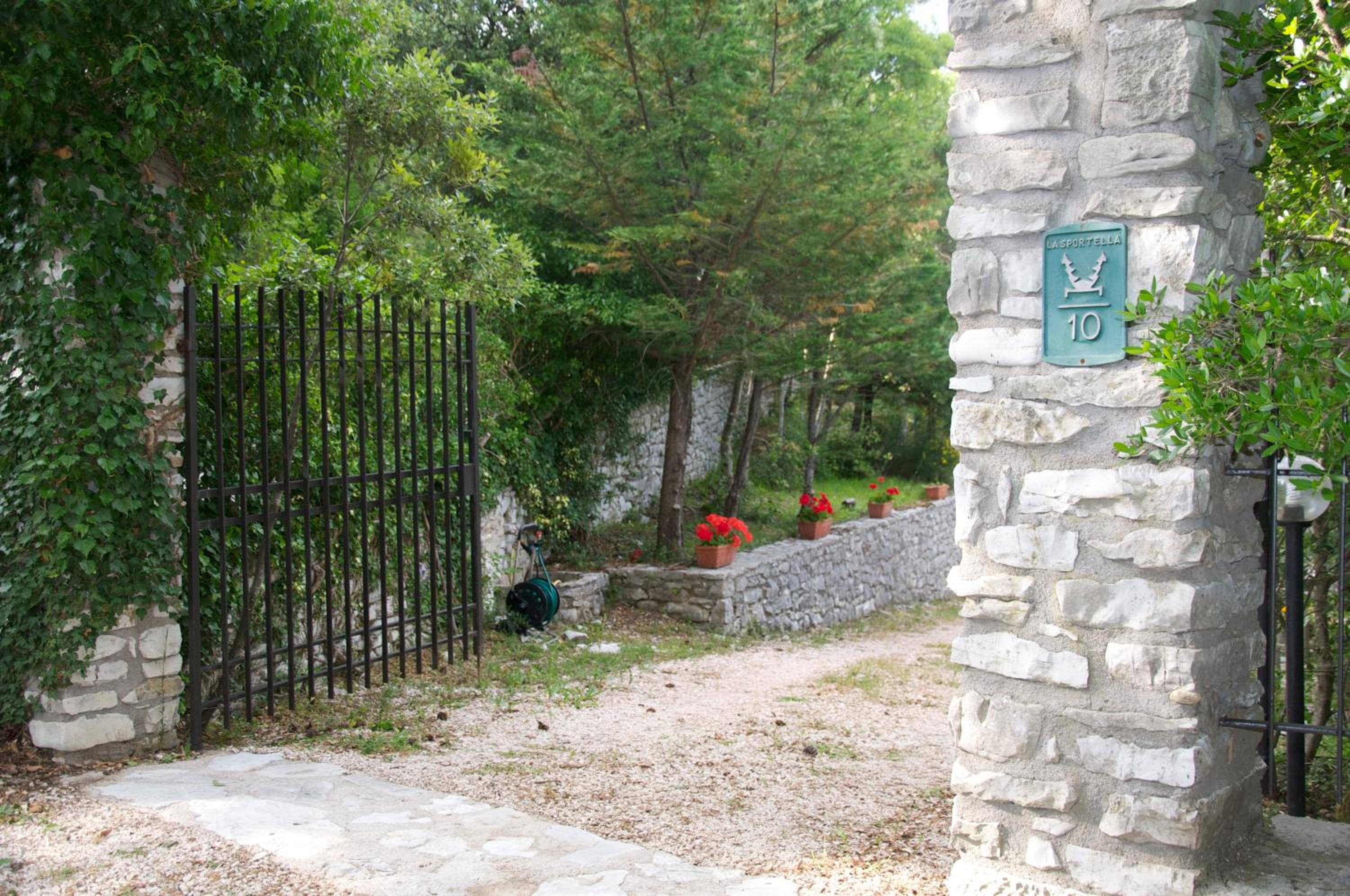 Photo 11