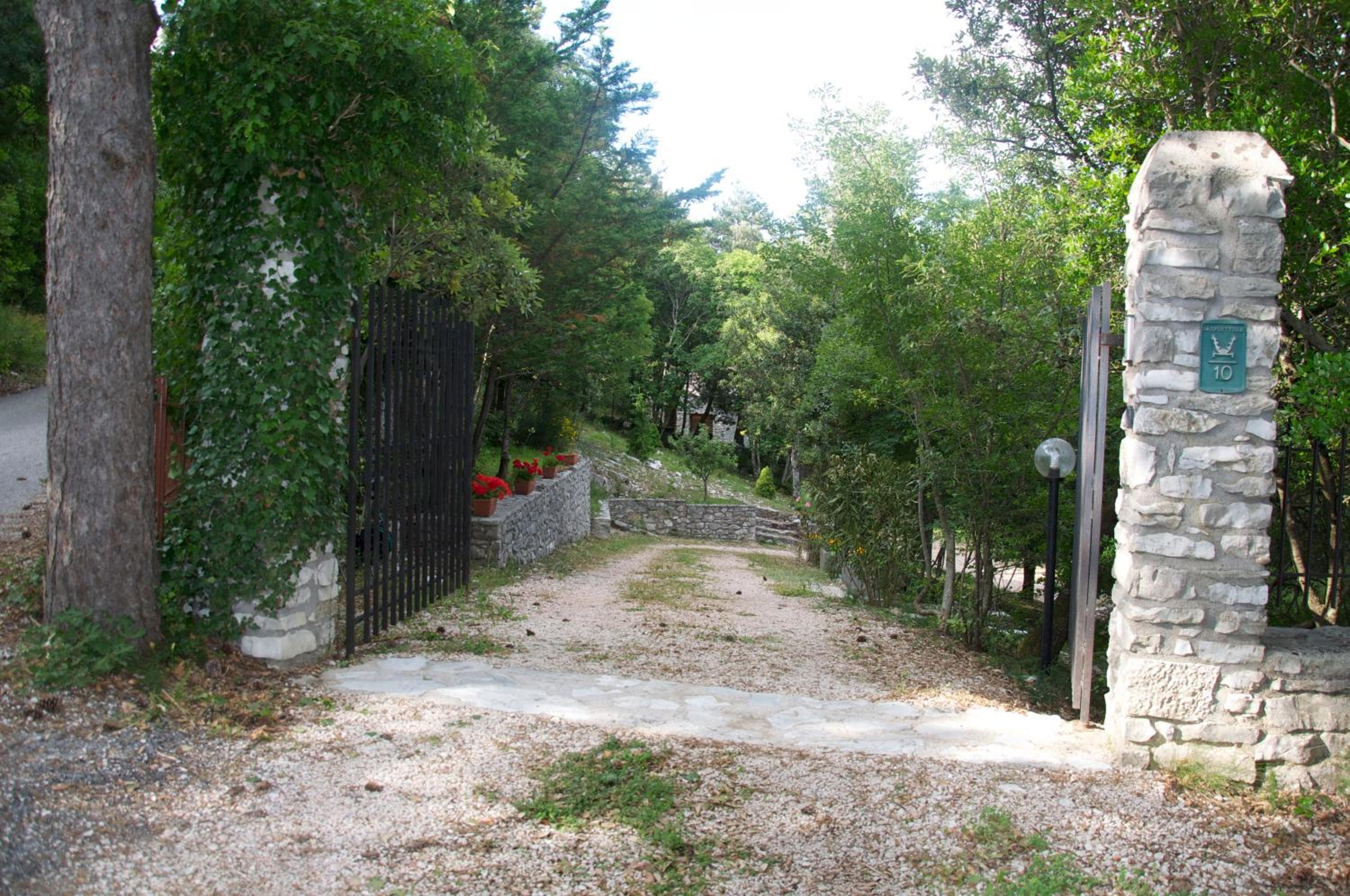 Photo 12